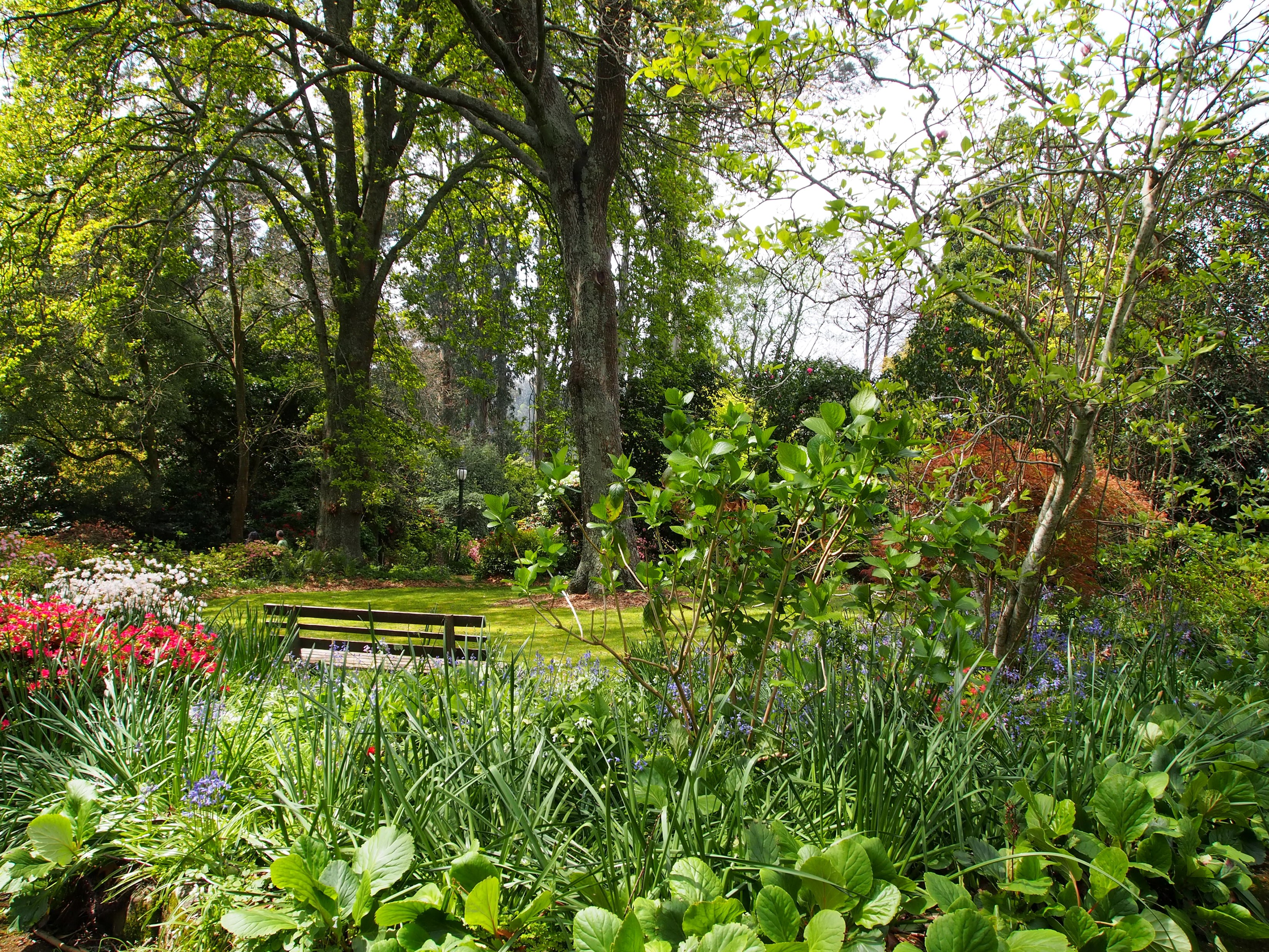 Alfred Nicholas Memorial Gardens Sherbrooke Australia HD Wallpaper