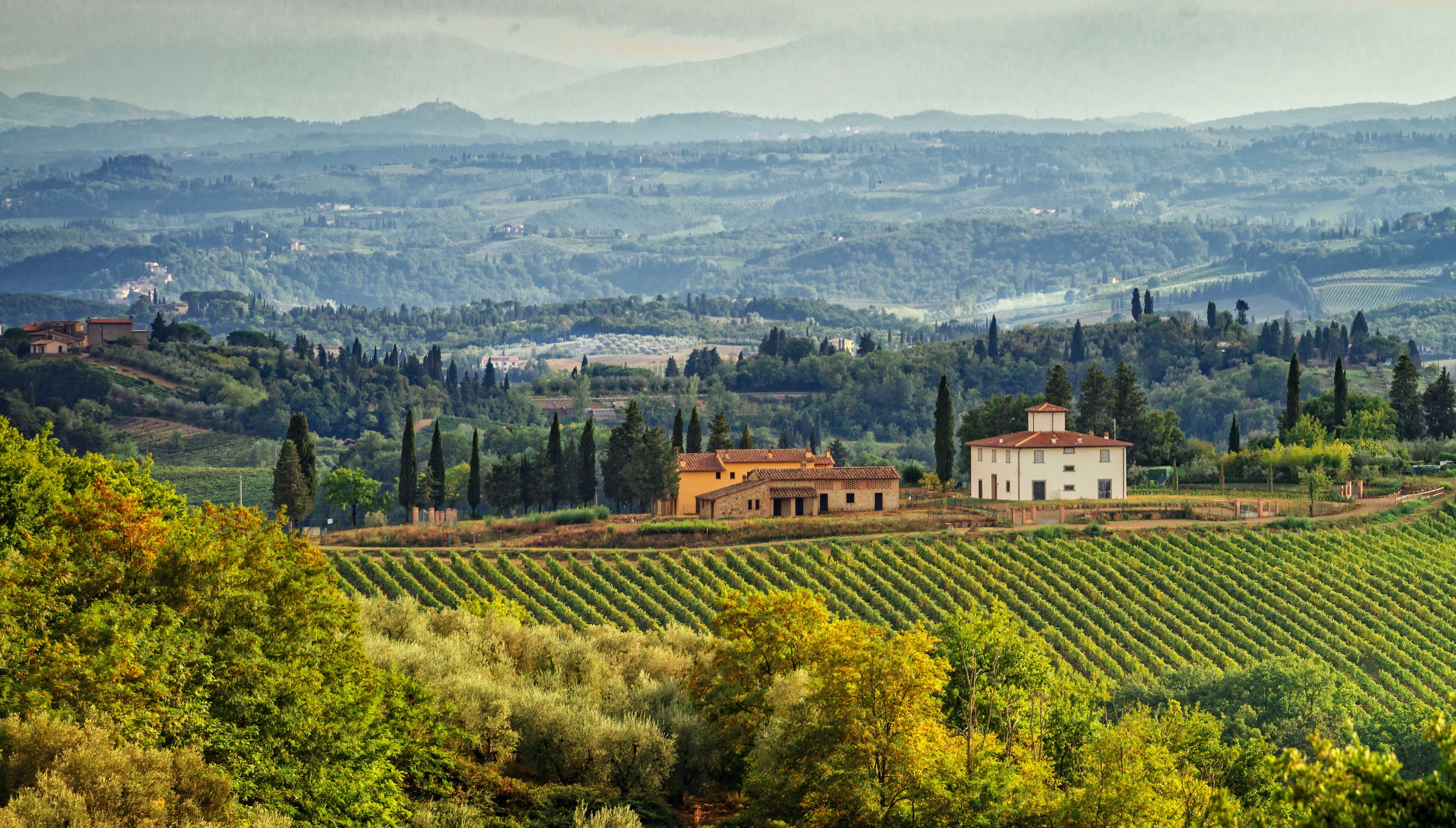 Tuscan landscape with vineyards and houses HD Wallpaper