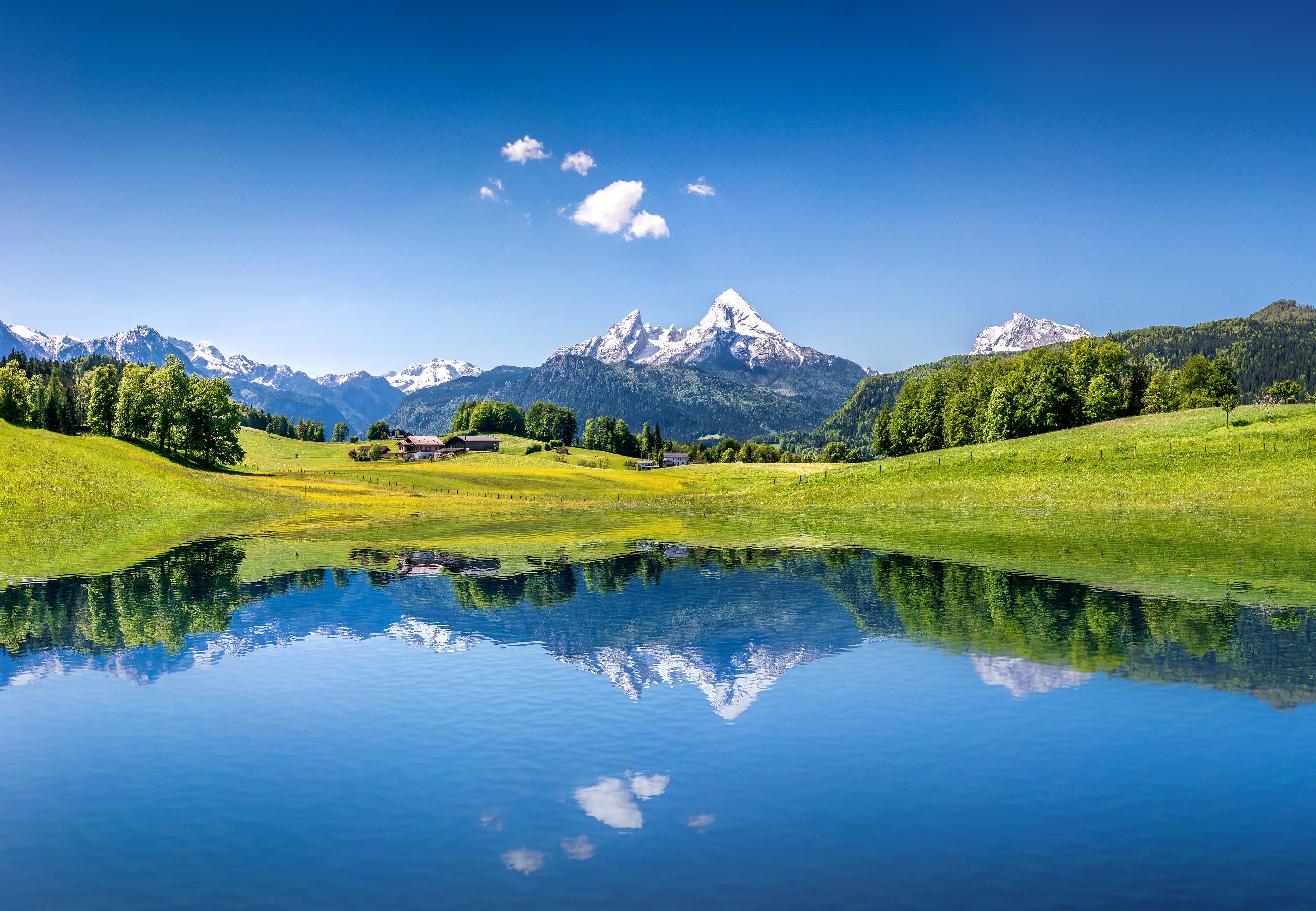 Lake reflection of snow-capped mountains and green grasslands HD Wallpaper
