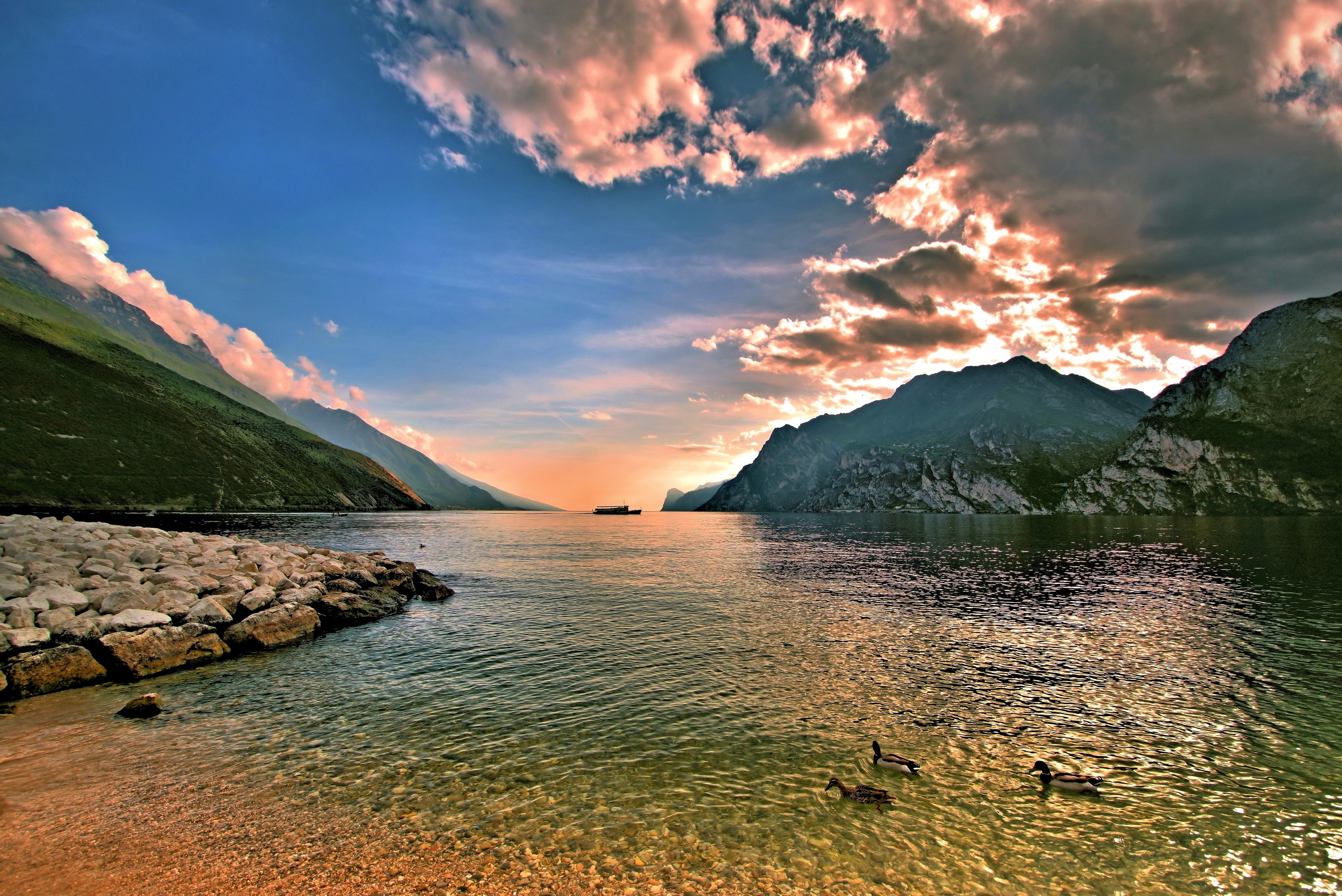 Sunset over a mountain lake with ducks HD Wallpaper