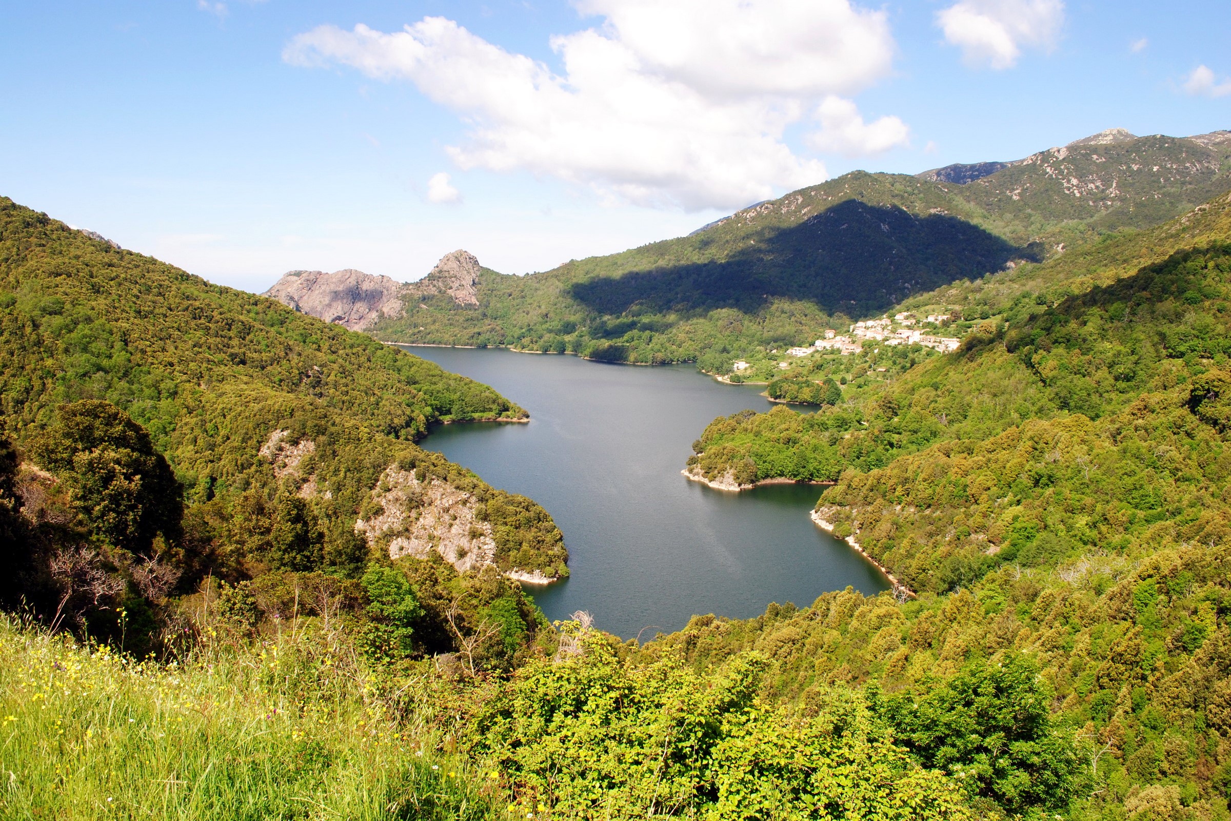 Lake surrounded by green mountains in Corsica, France HD Wallpaper