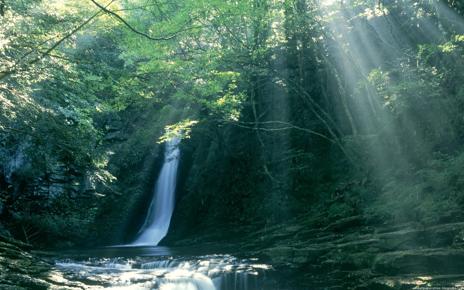 Sunlight streams through trees onto a waterfall and stream HD Wallpaper