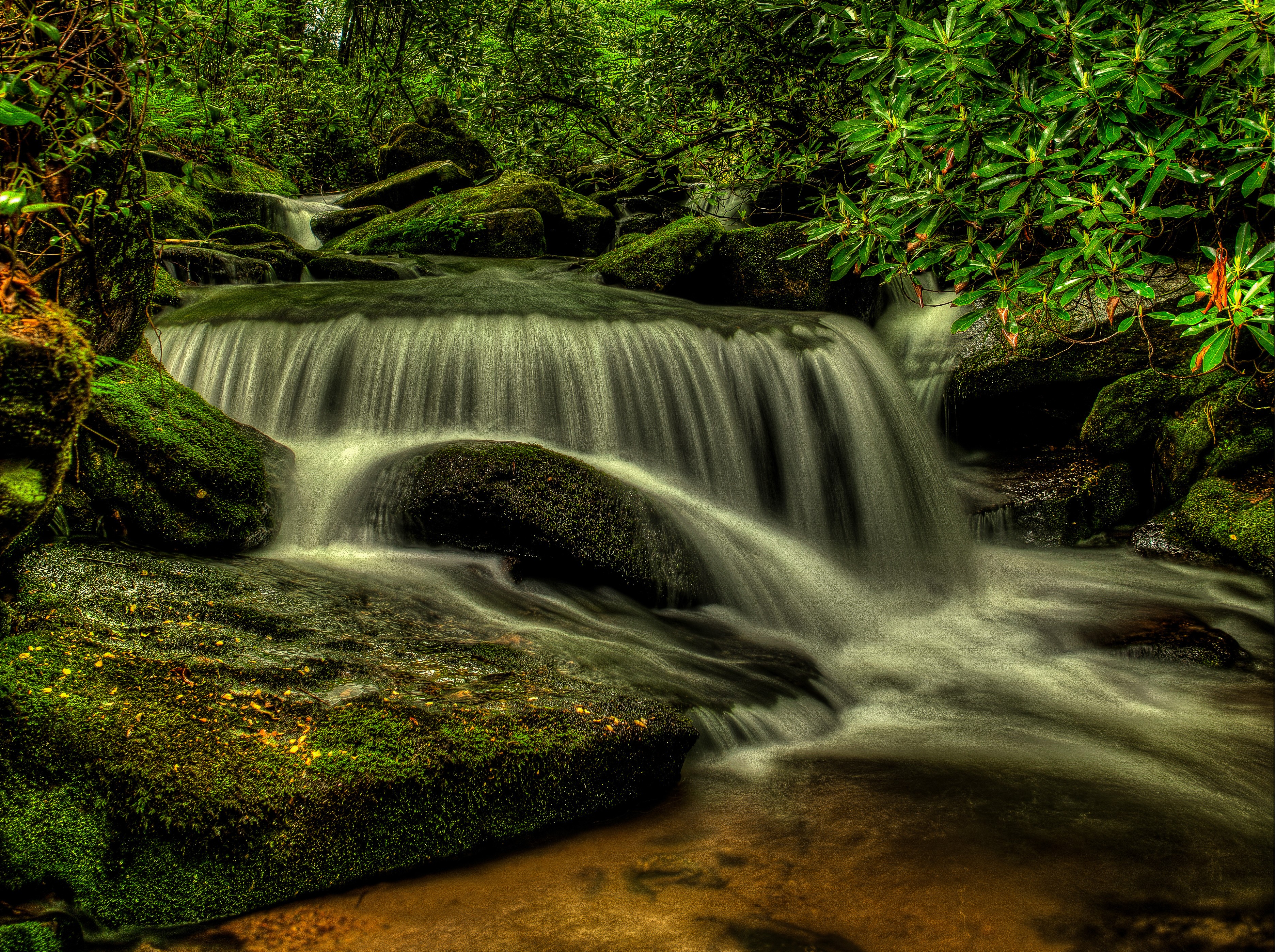 Shoal Creek Falls in Pisgah National Forest, North Carolina HD Wallpaper
