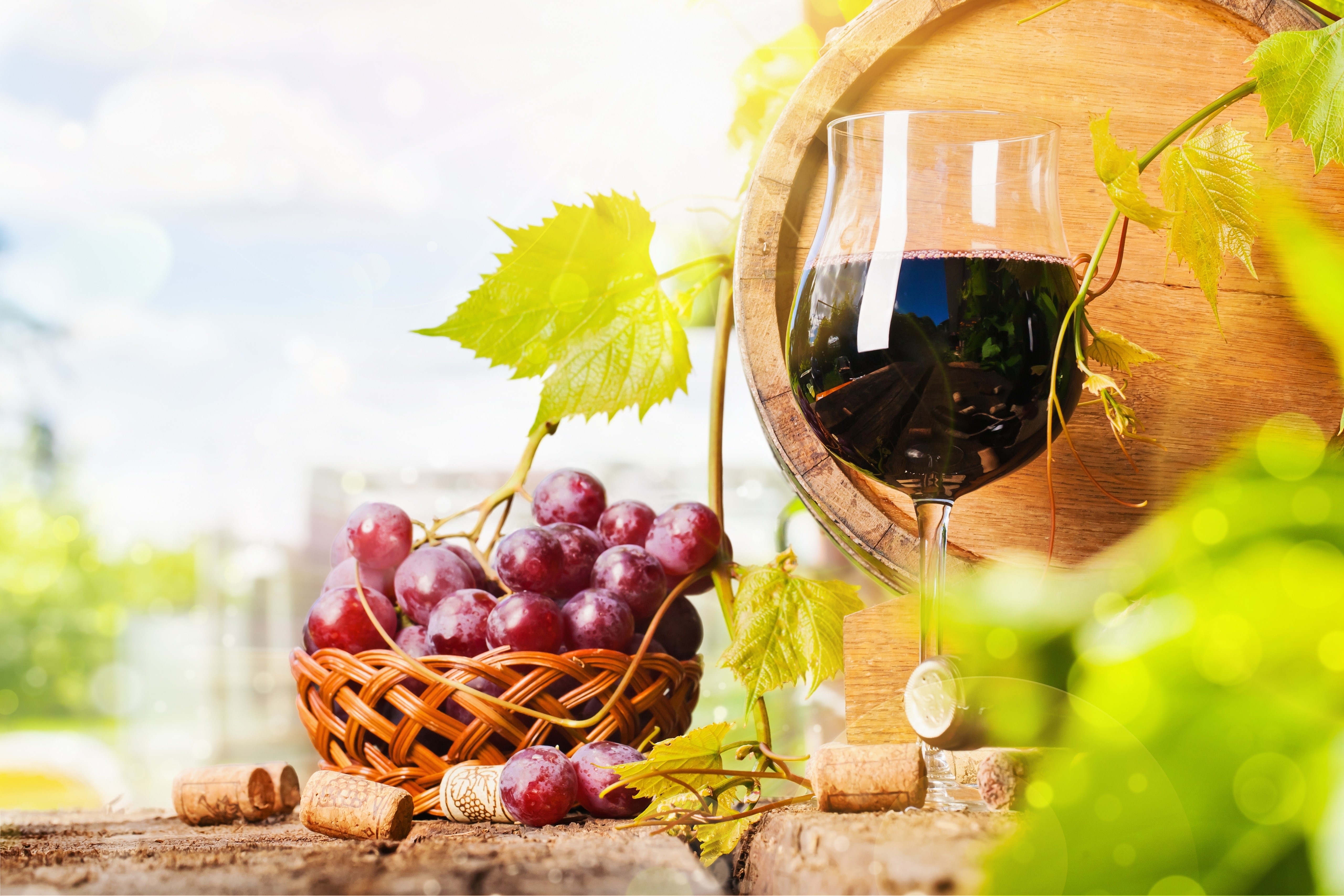 Red wine in a glass with grapes and a barrel HD Wallpaper