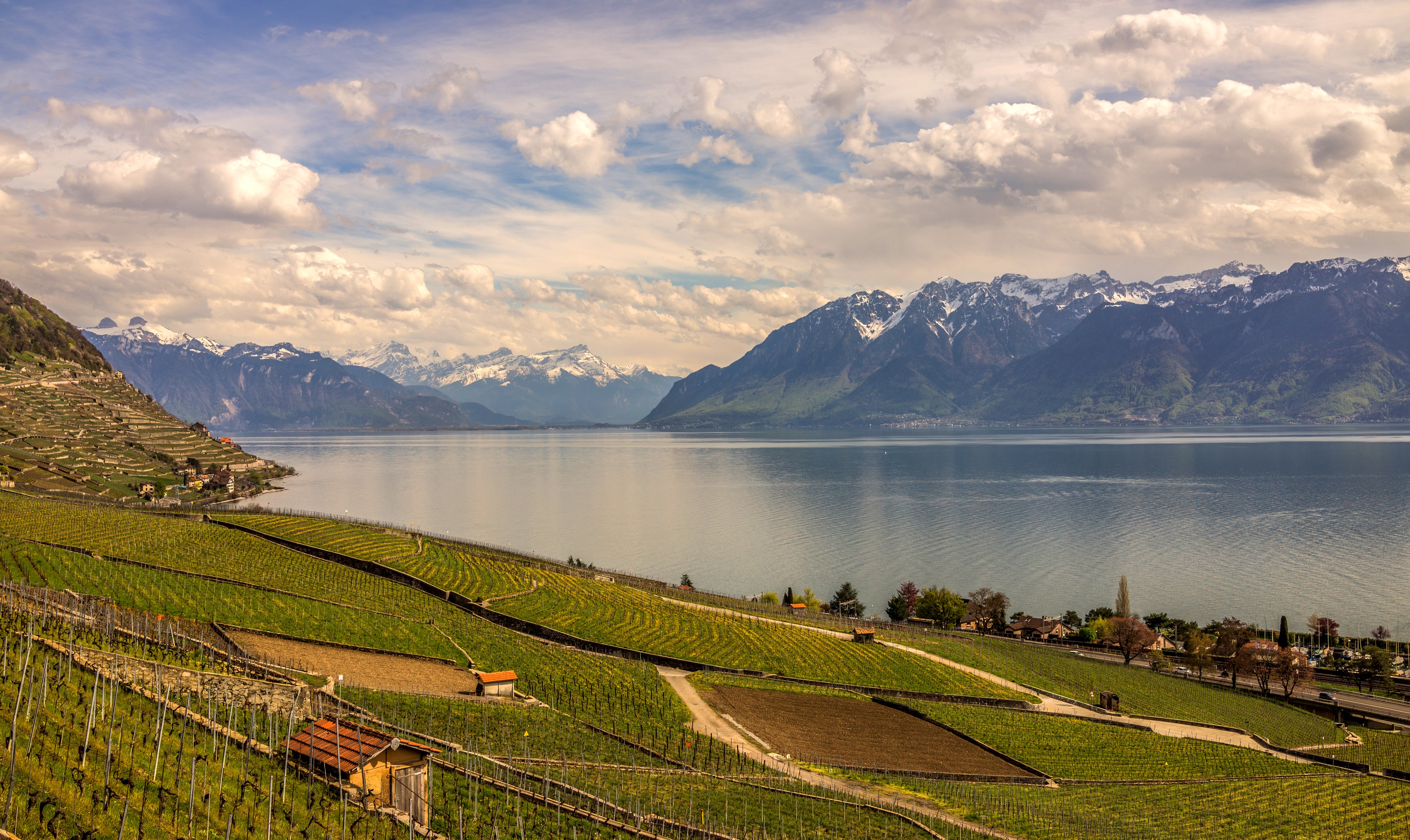 Vineyards by Lake Geneva with Snow-Capped Mountains, Switzerland HD Wallpaper