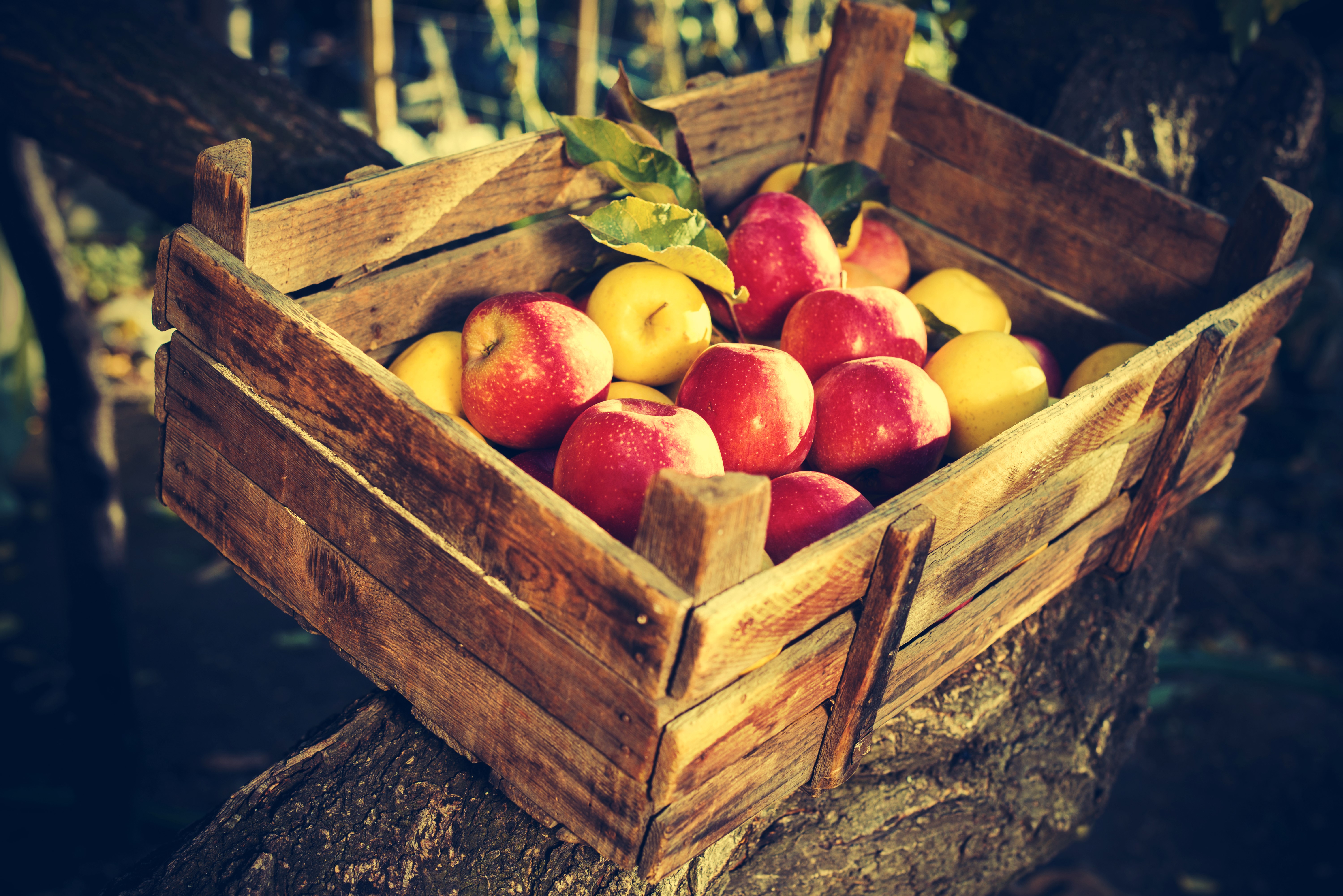 Wooden crate filled with apples HD Wallpaper