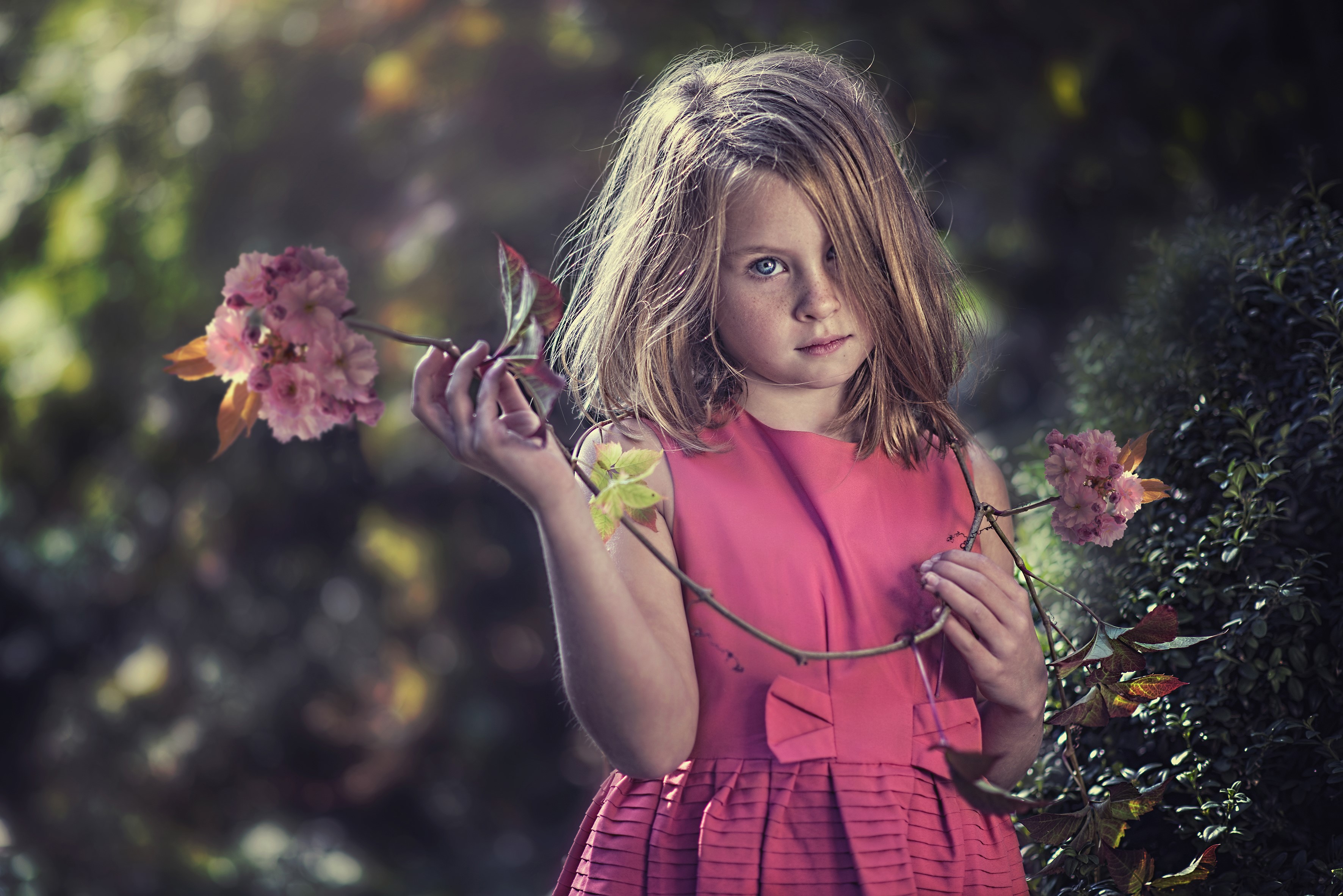 Young girl in pink dress holding flowers HD Wallpaper
