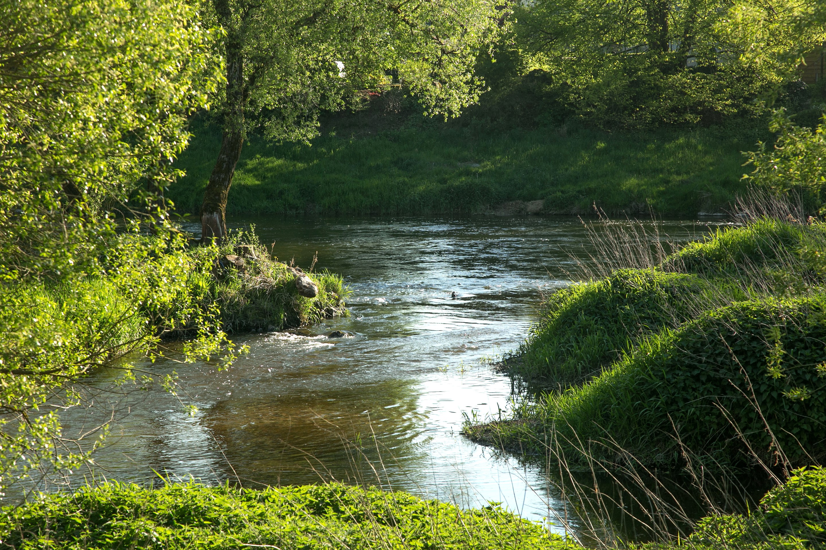 River flowing through a green landscape in Regenstauf, Bavaria HD Wallpaper