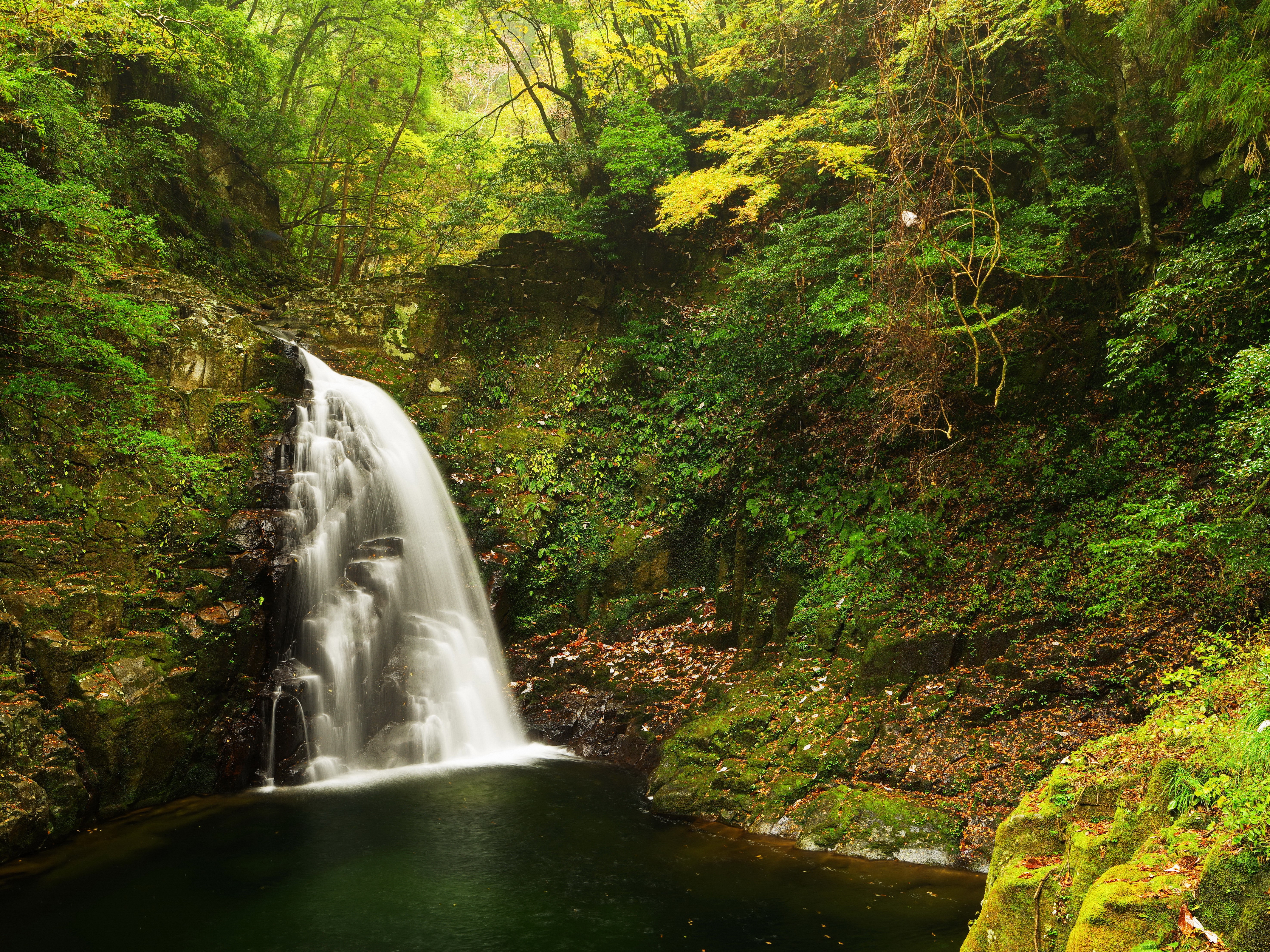 Waterfall cascading over mossy rocks in a forest HD Wallpaper