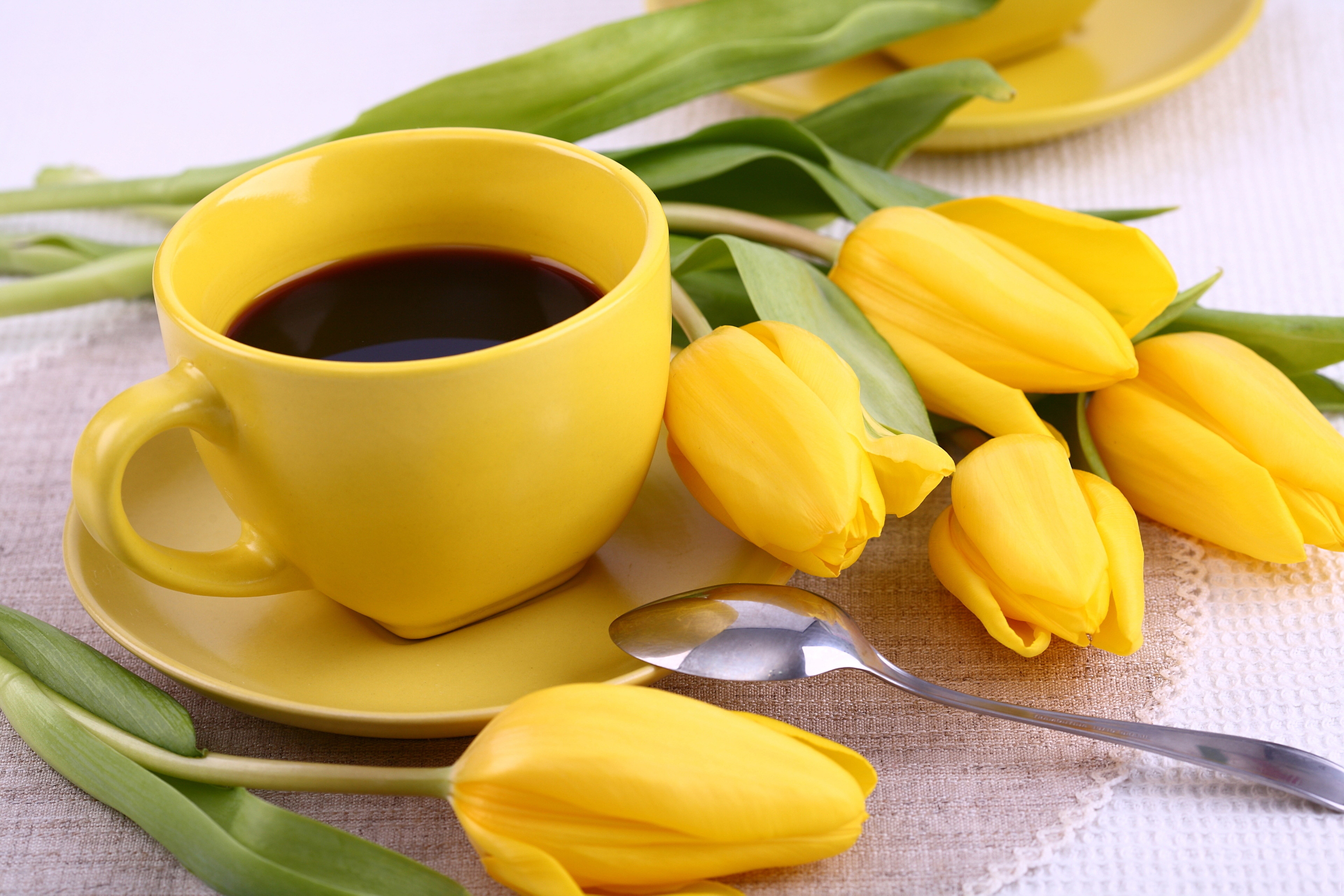 Yellow cup of coffee with yellow tulips HD Wallpaper