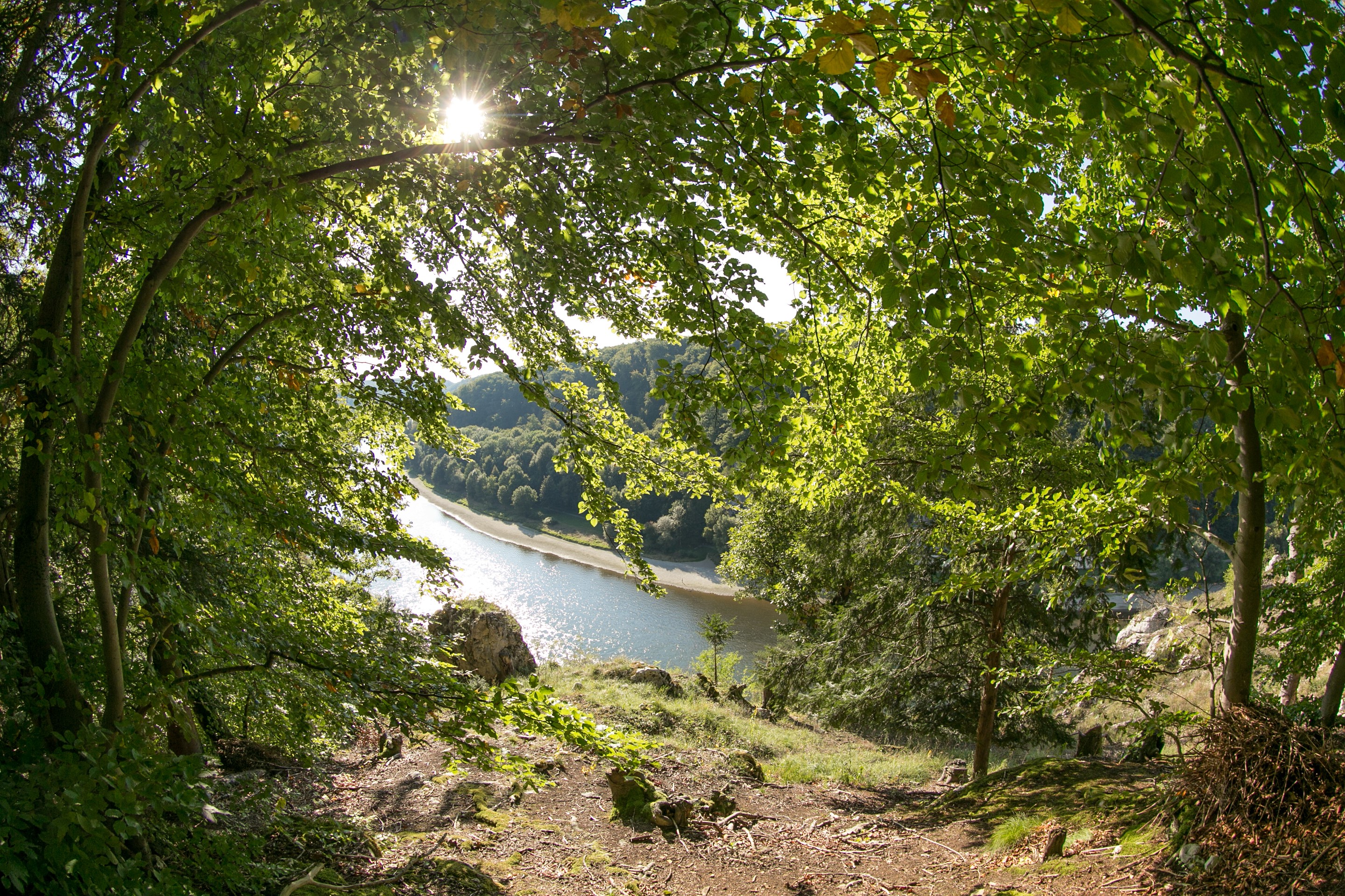 Sunlight through trees overlooking a river in Bavaria, Germany HD Wallpaper