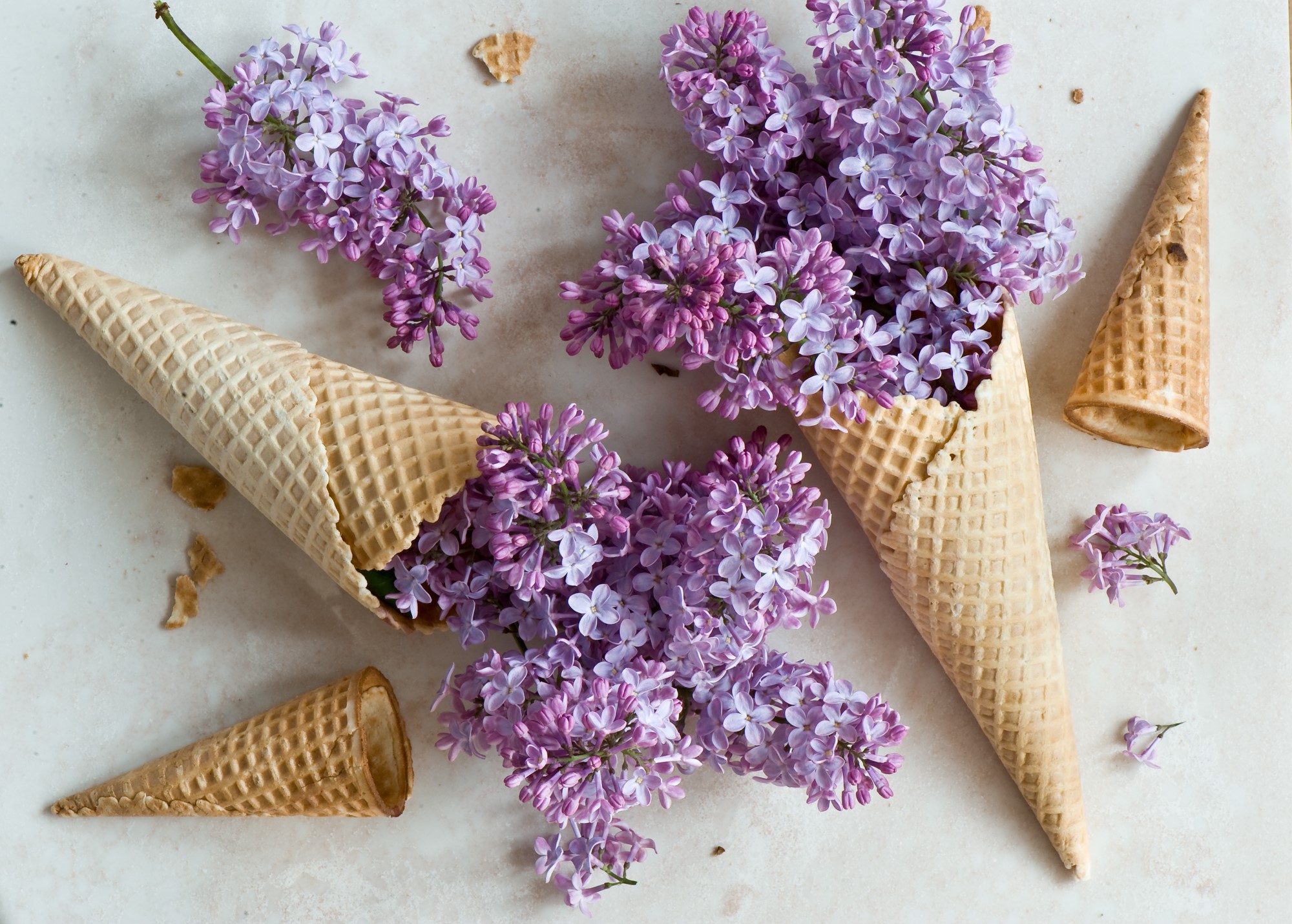 Lilac flowers in ice cream cones HD Wallpaper