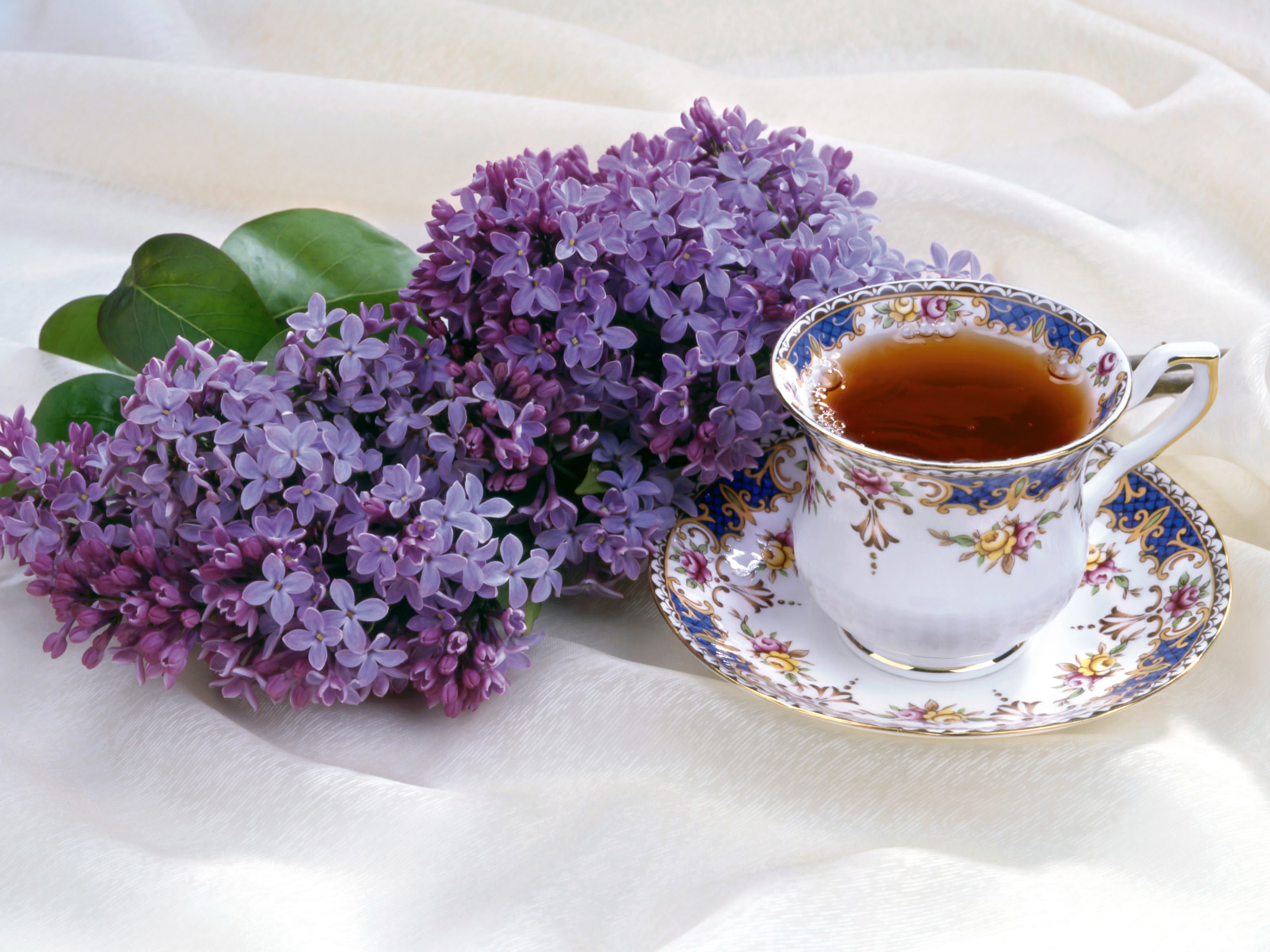 4K Lilac and Tea Cup HD Wallpaper