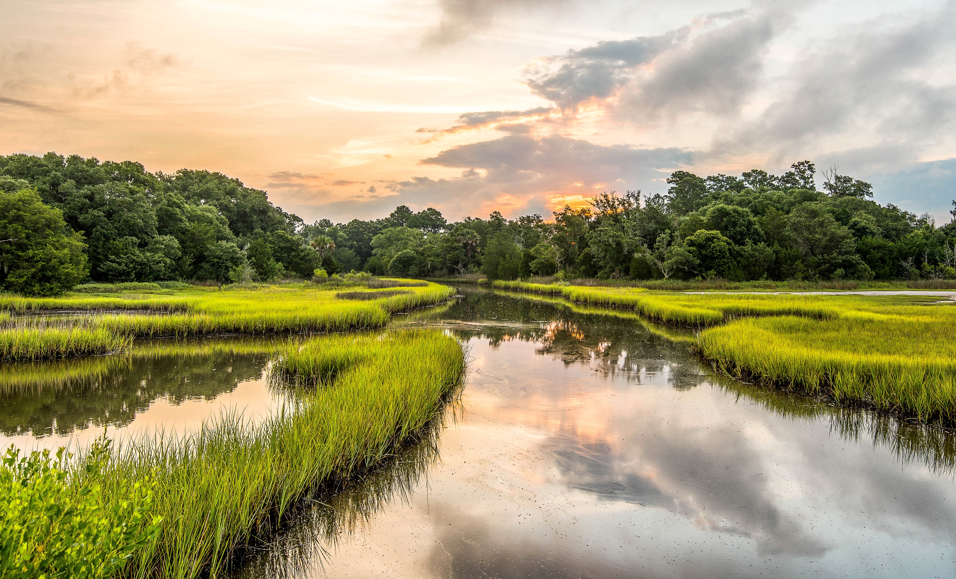 Marsh river with grass and trees at sunset HD Wallpaper