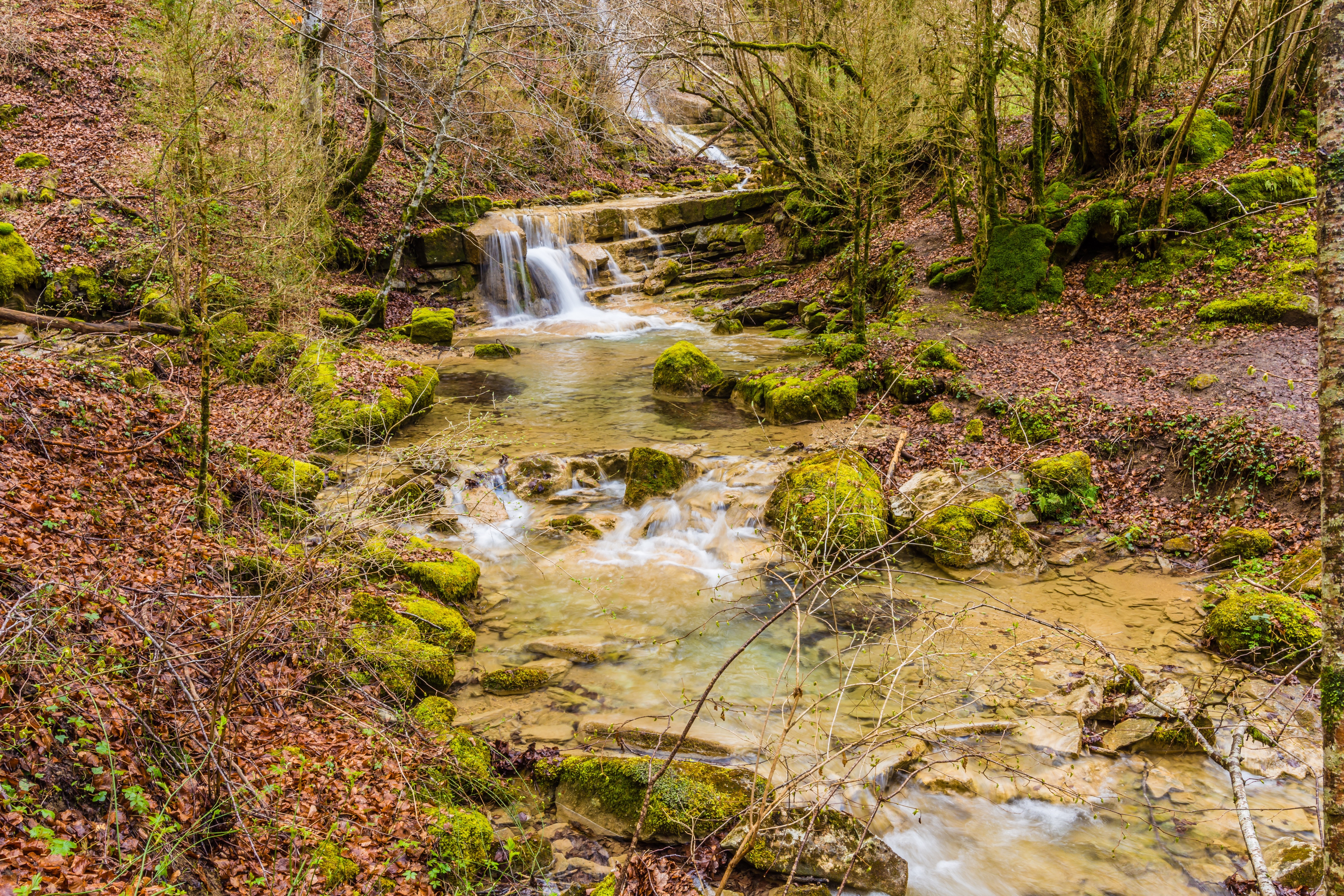 Stream flowing over mossy stones in Catalonia, Spain HD Wallpaper