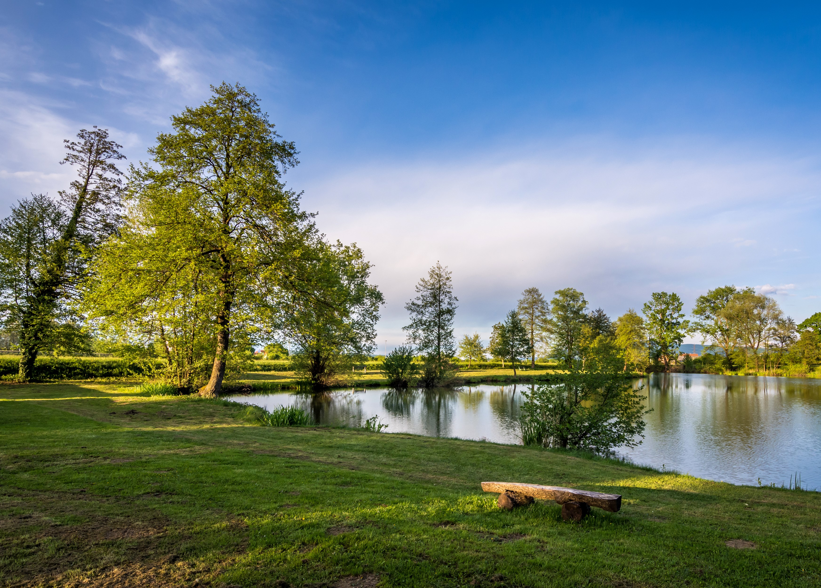Lake and trees in Bobovica, Croatia HD Wallpaper