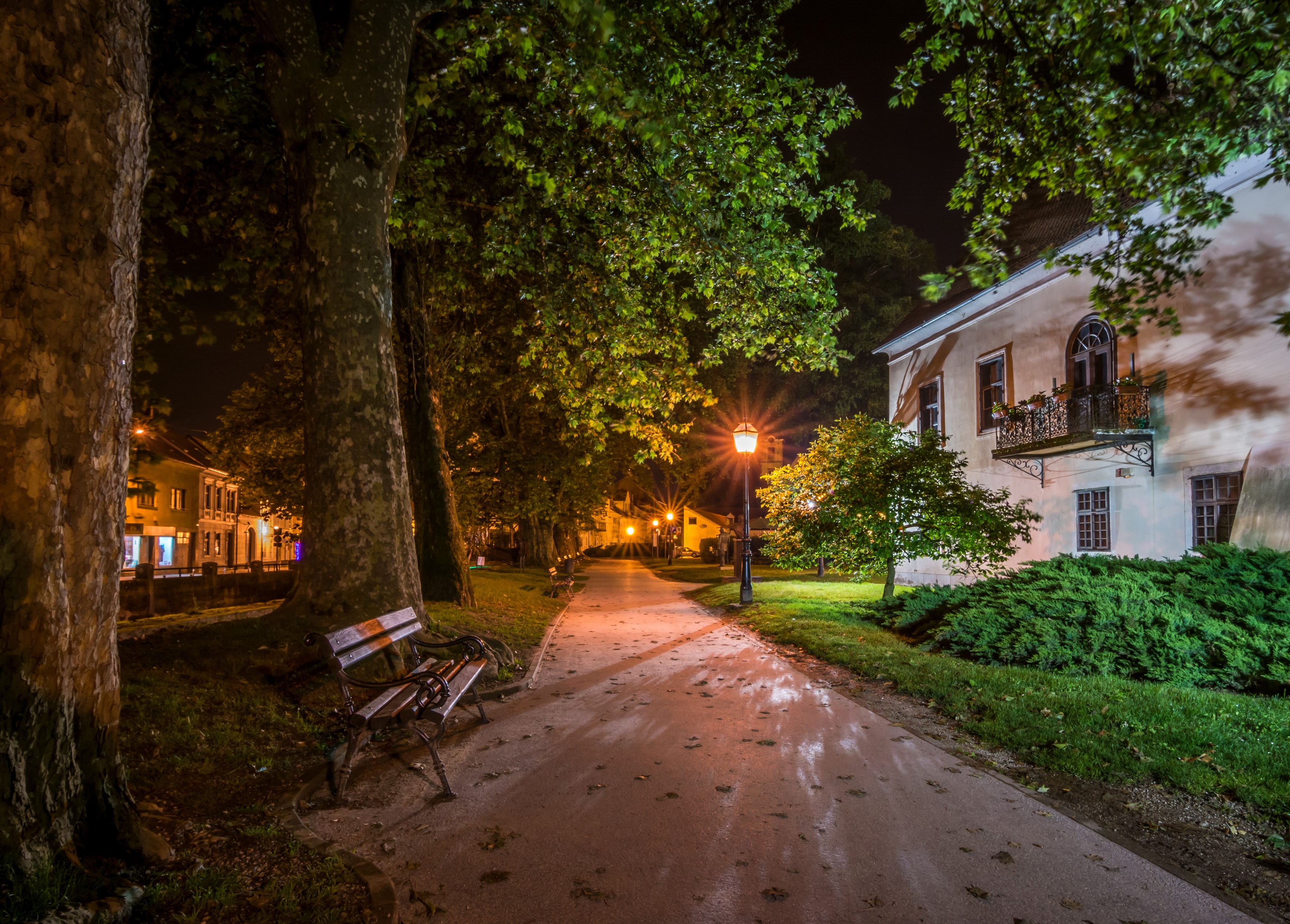 Park path at night with streetlights and buildings HD Wallpaper