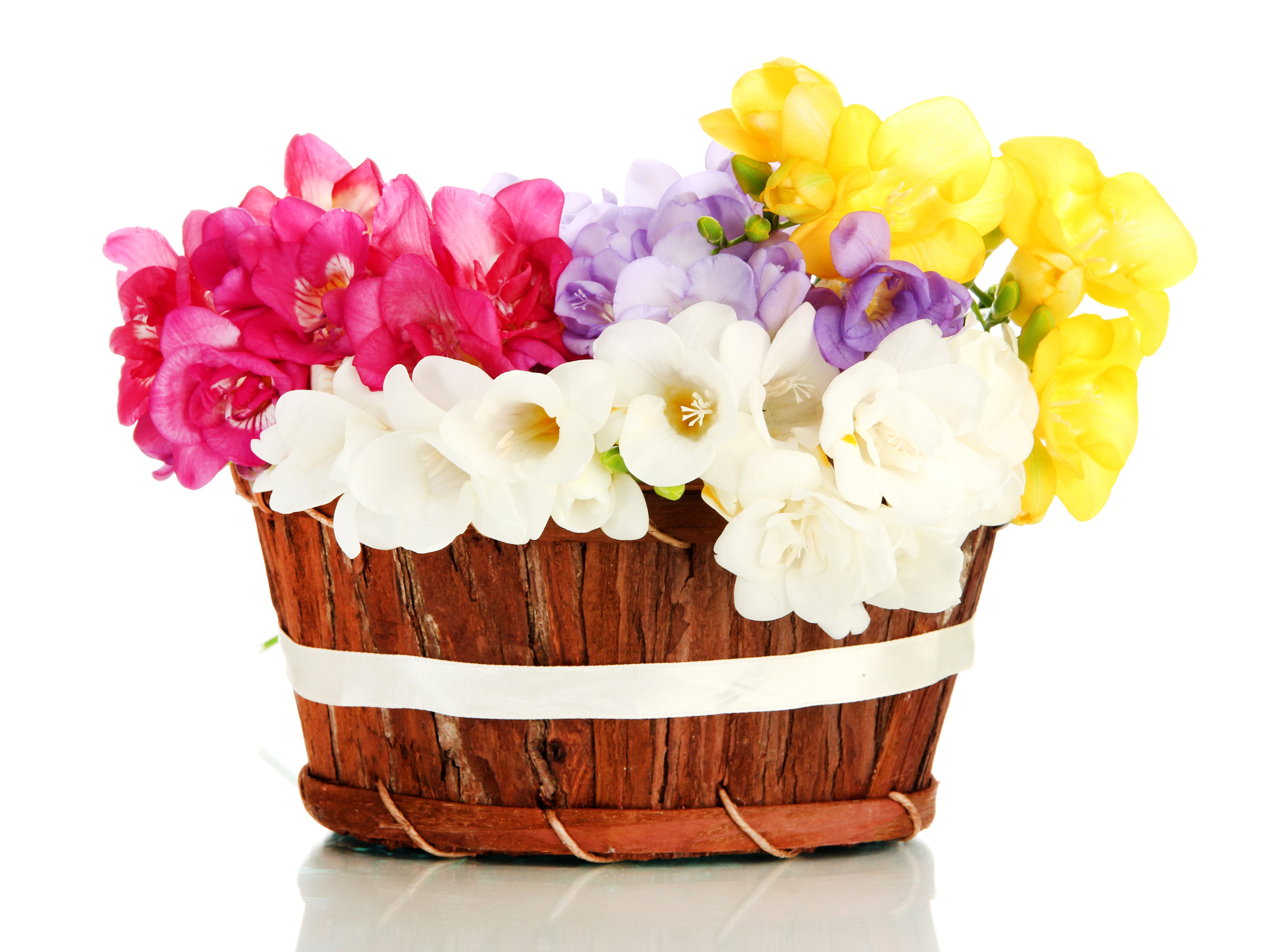 Freesia flowers in a wicker basket HD Wallpaper