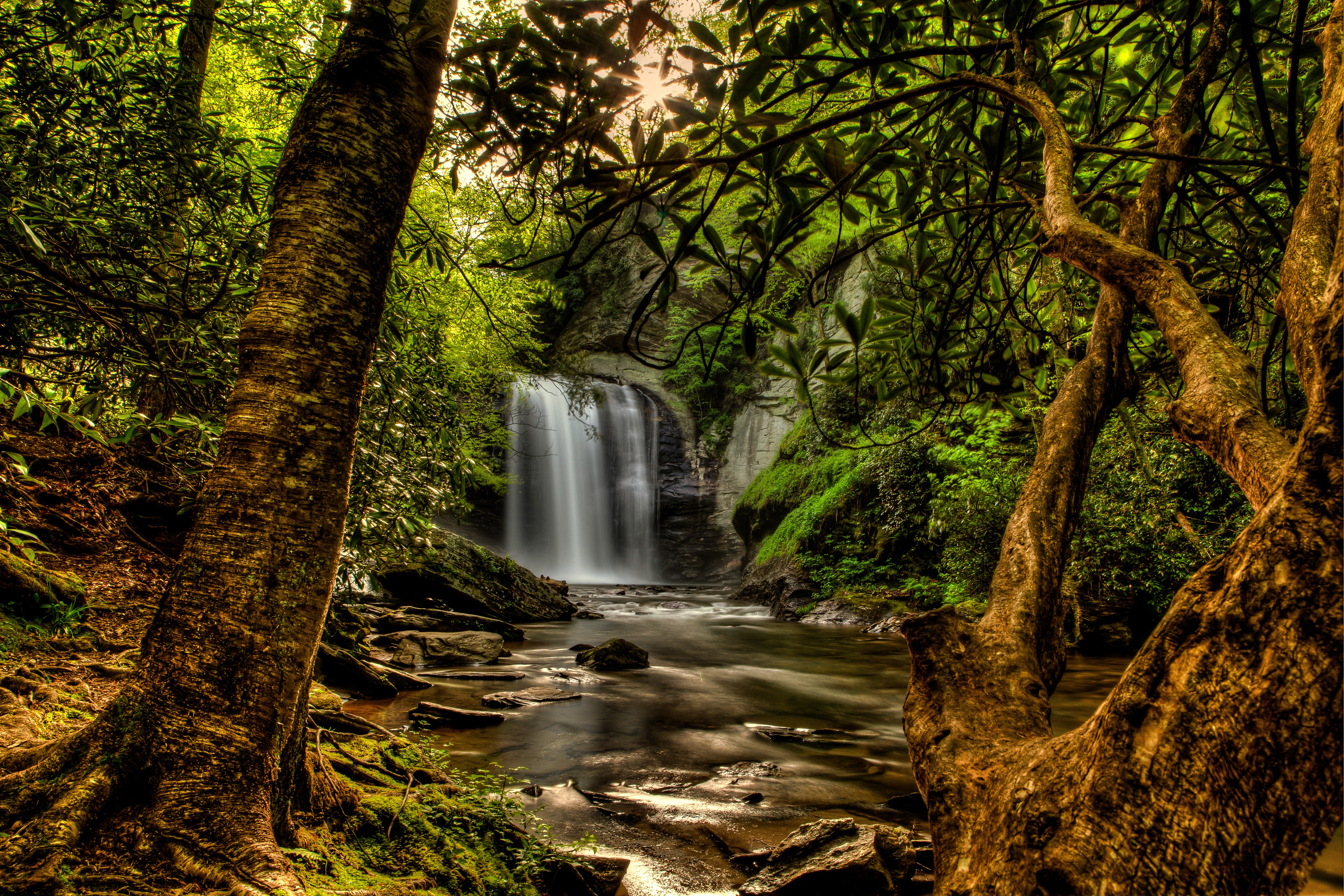 Waterfall in Pisgah National Forest, USA HD Wallpaper
