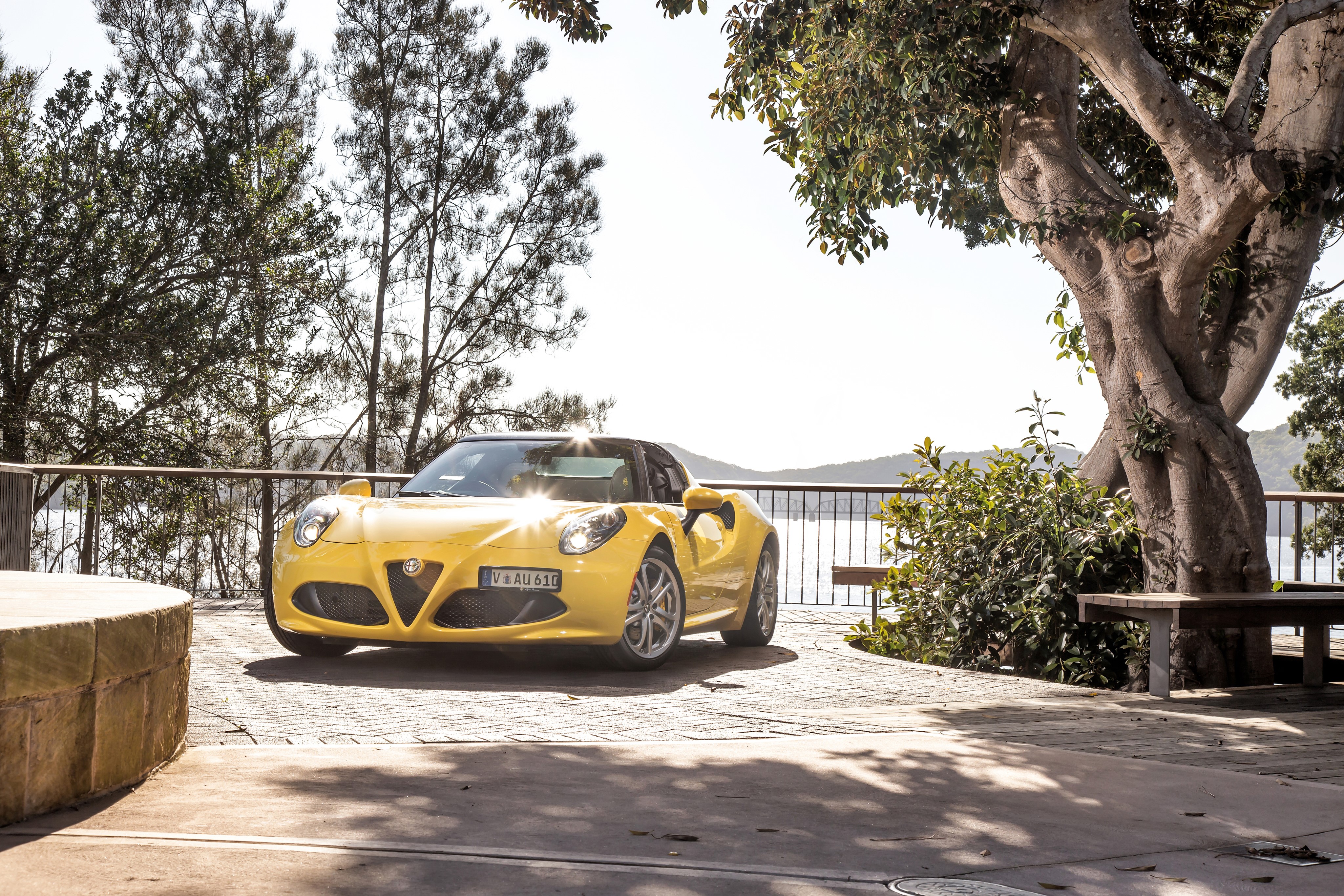 Yellow Alfa Romeo 4C Spider by a tree HD Wallpaper