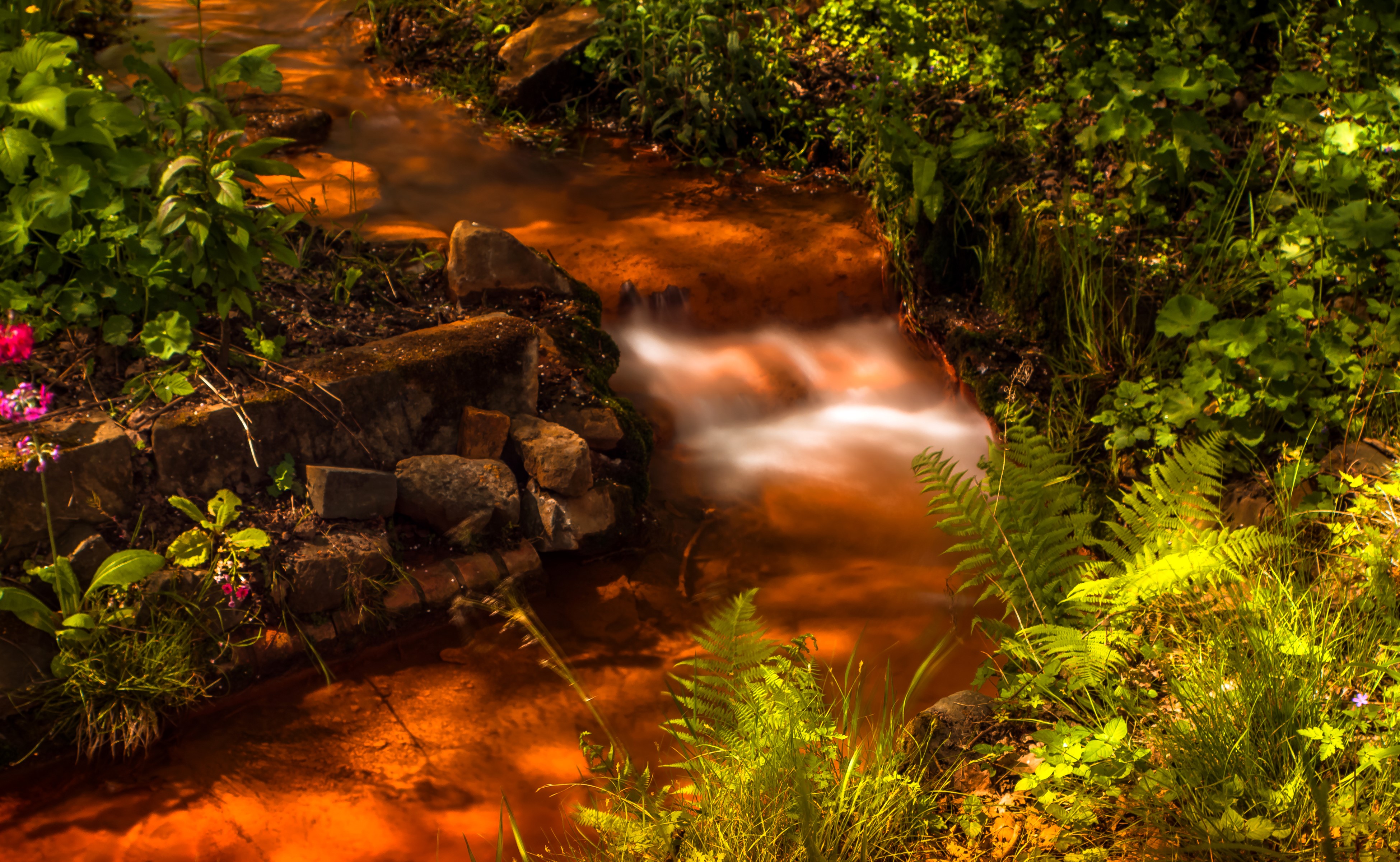 Orange stream flowing through a forest with rocks and plants HD Wallpaper