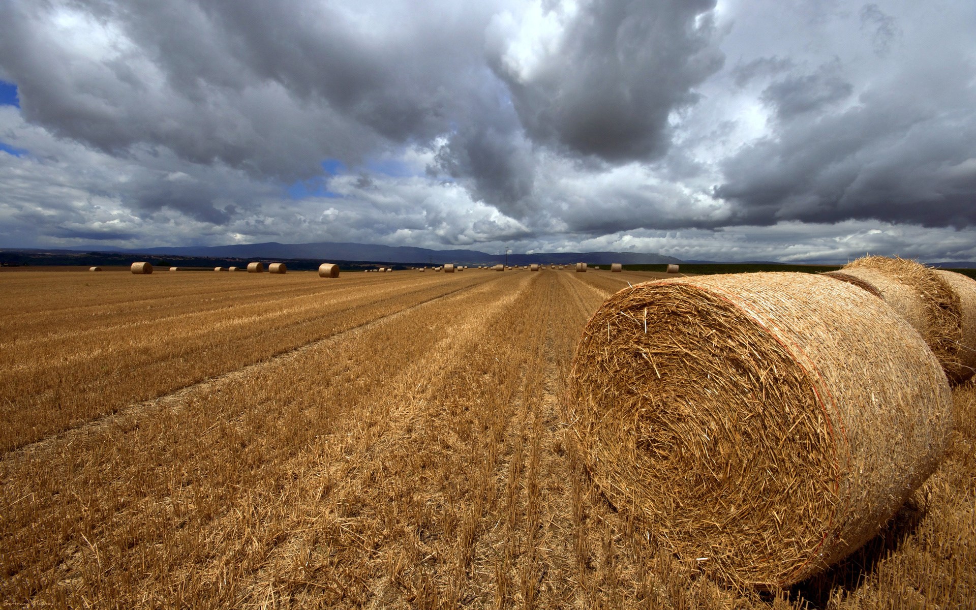 Hay bales in a field under a cloudy sky HD Wallpaper