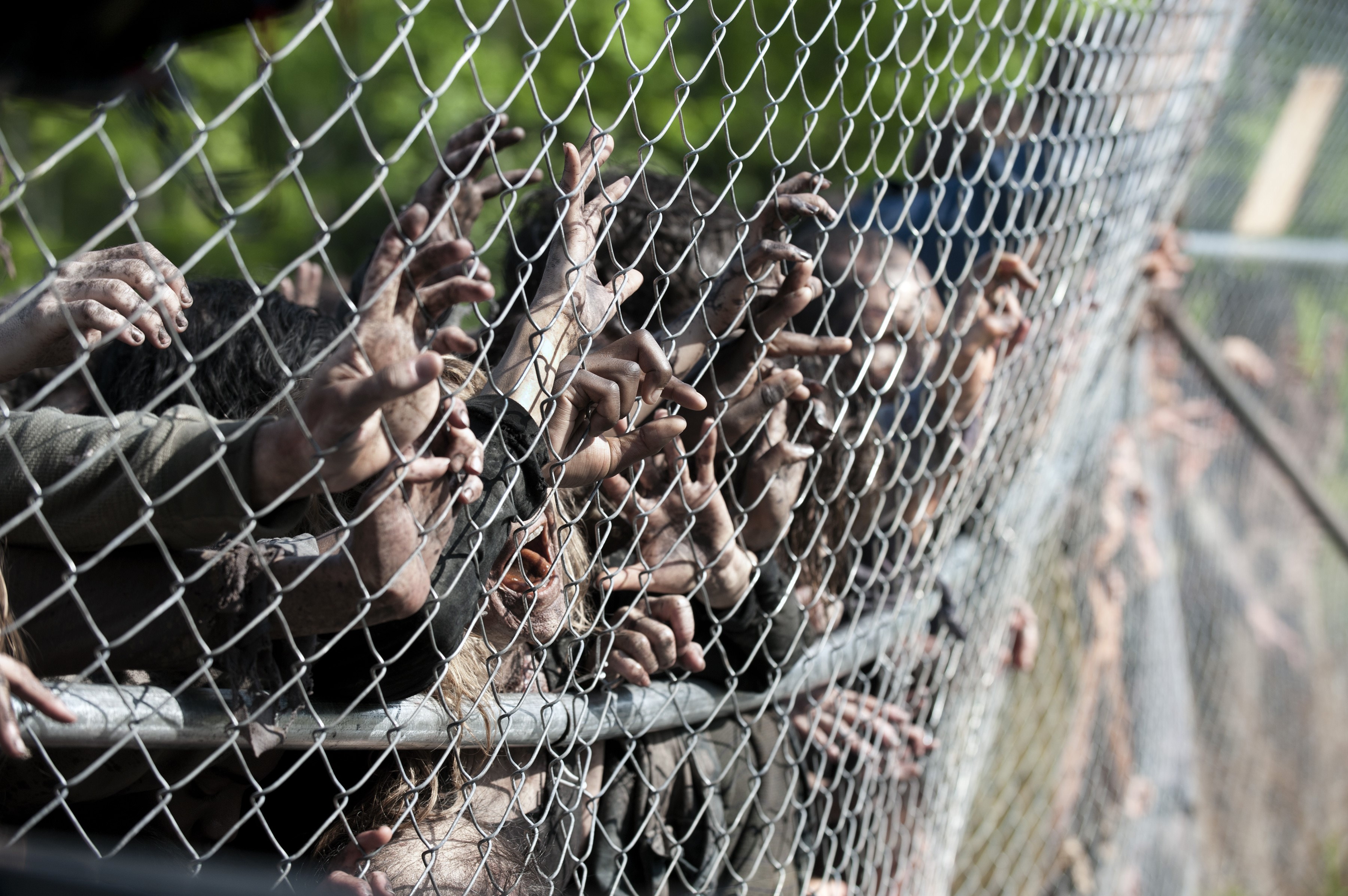 Zombies reaching through a chain-link fence HD Wallpaper