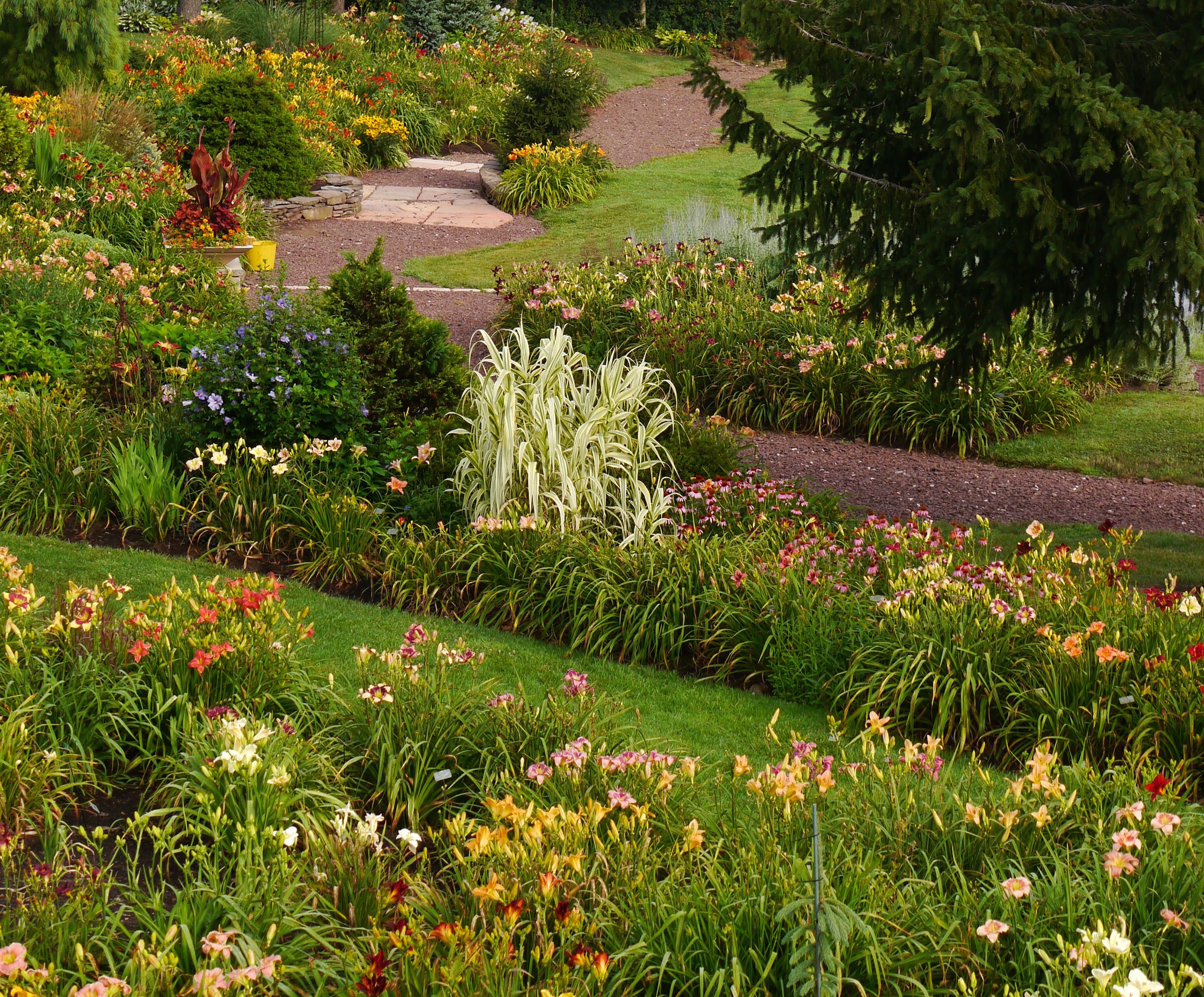 Garden with Lilies and Shrubs HD Wallpaper