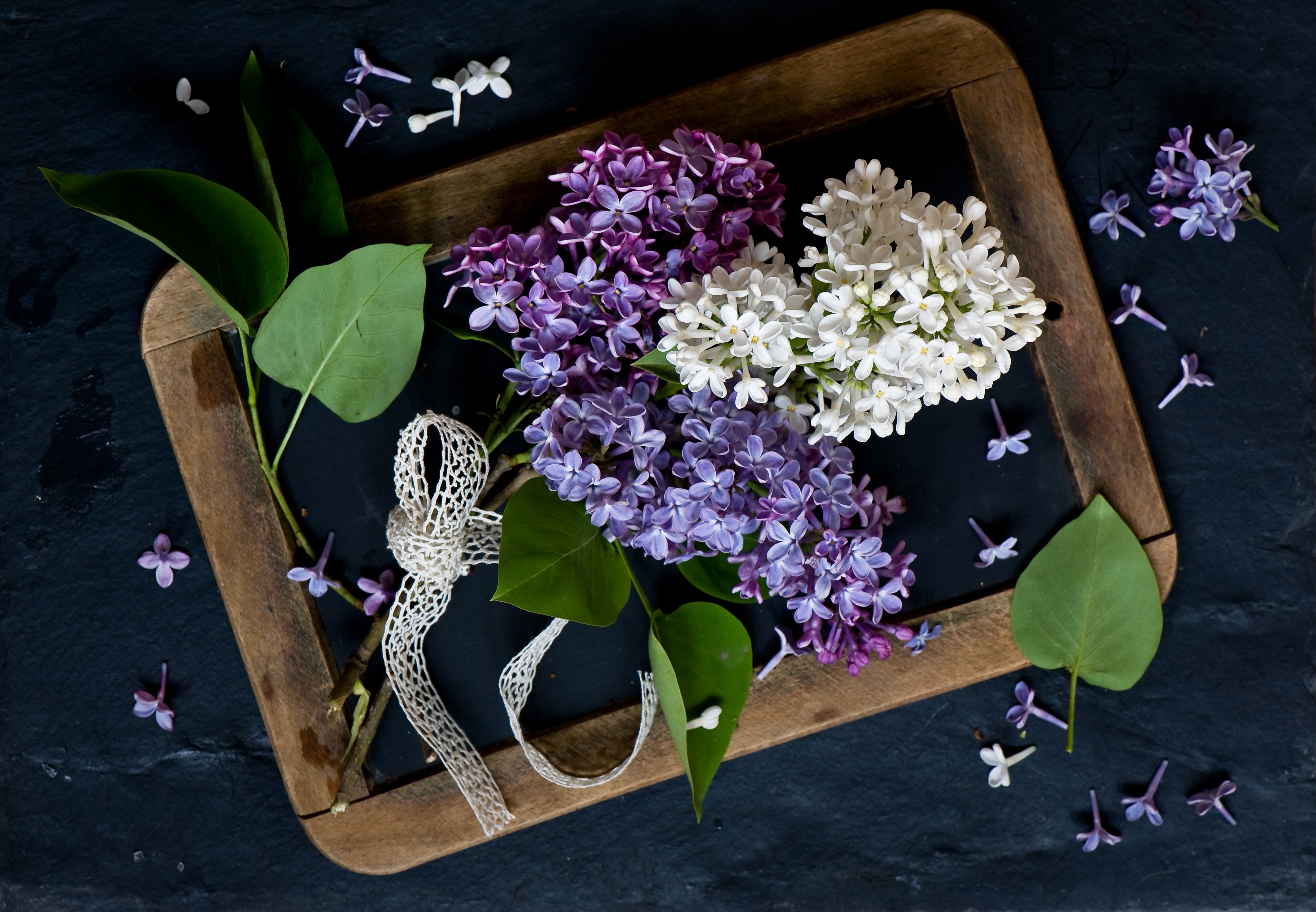 Lilac flowers on a wooden board HD Wallpaper
