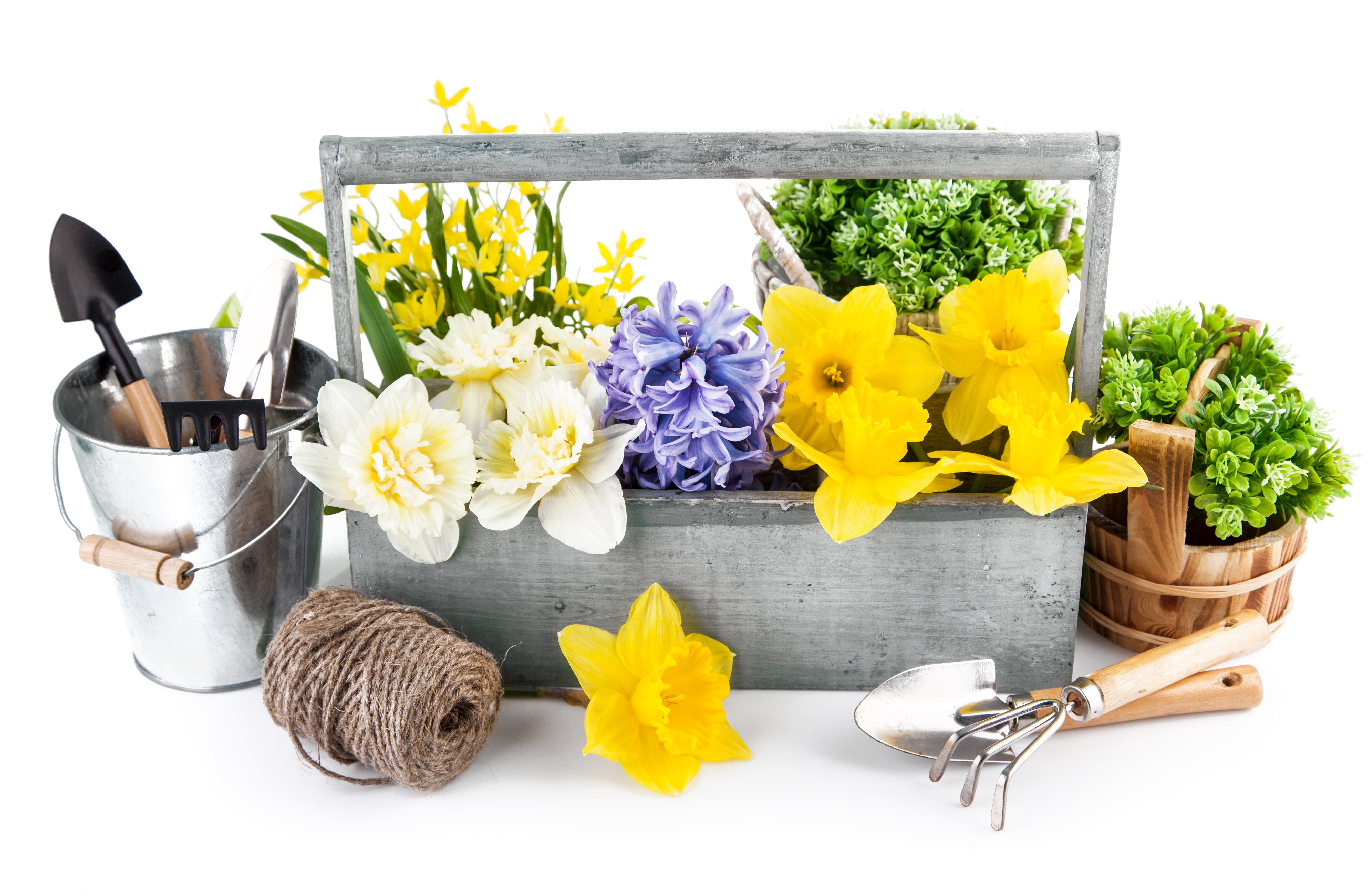 Gardening tools and spring flowers in a wooden crate HD Wallpaper