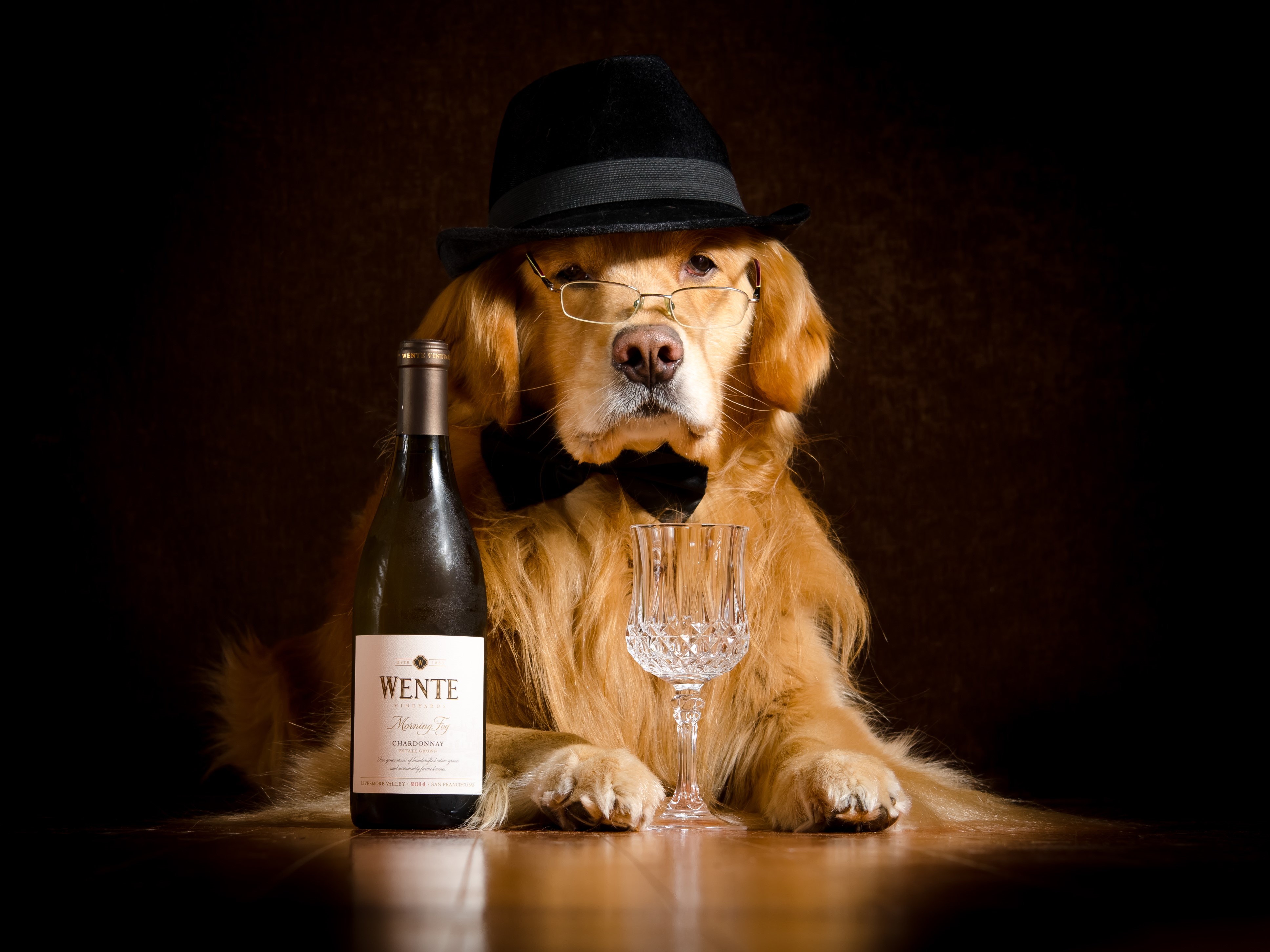 Golden Retriever Dog with Wine Bottle and Glass HD Wallpaper