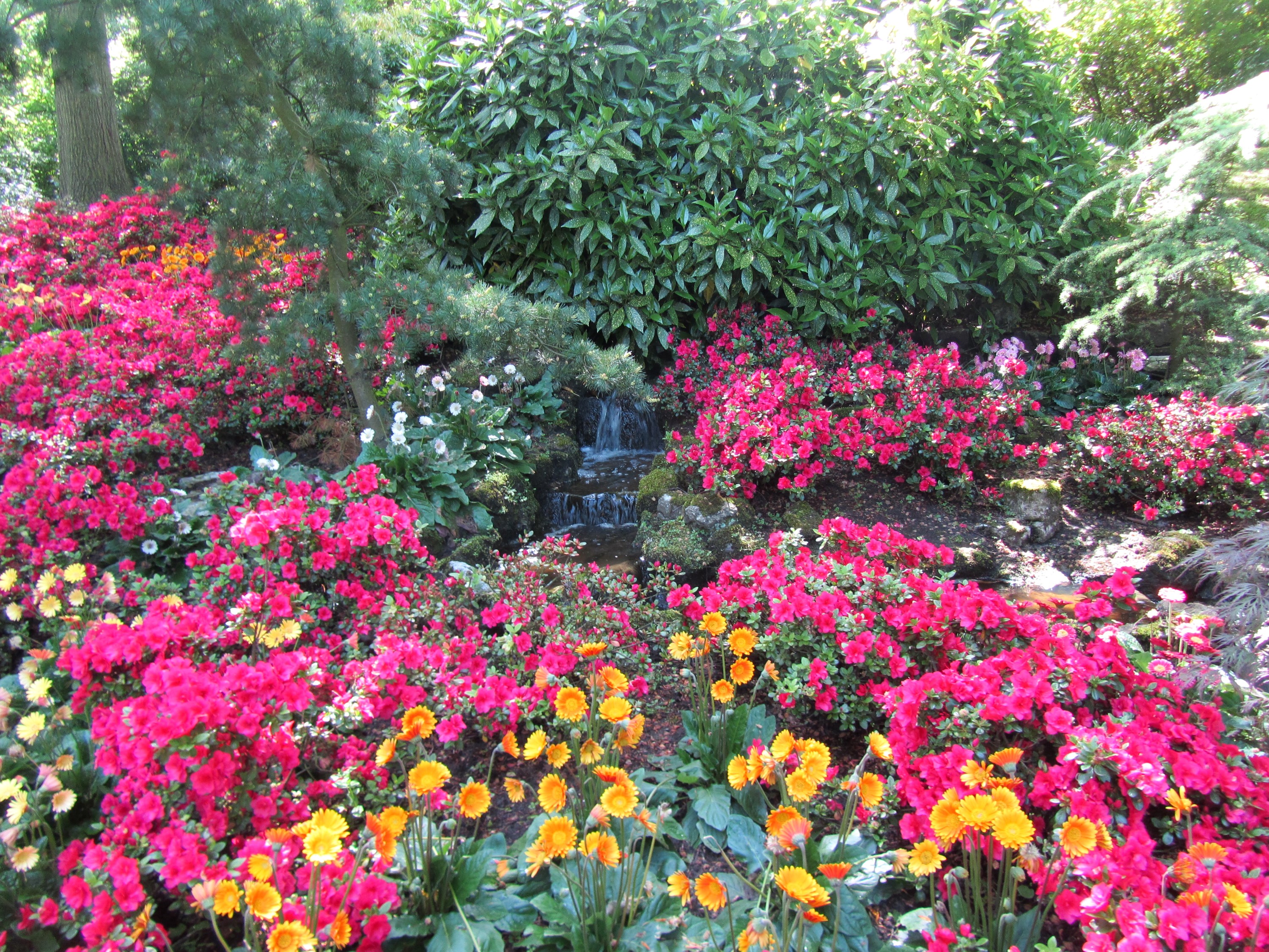 Garden with pink and orange flowers and a waterfall HD Wallpaper