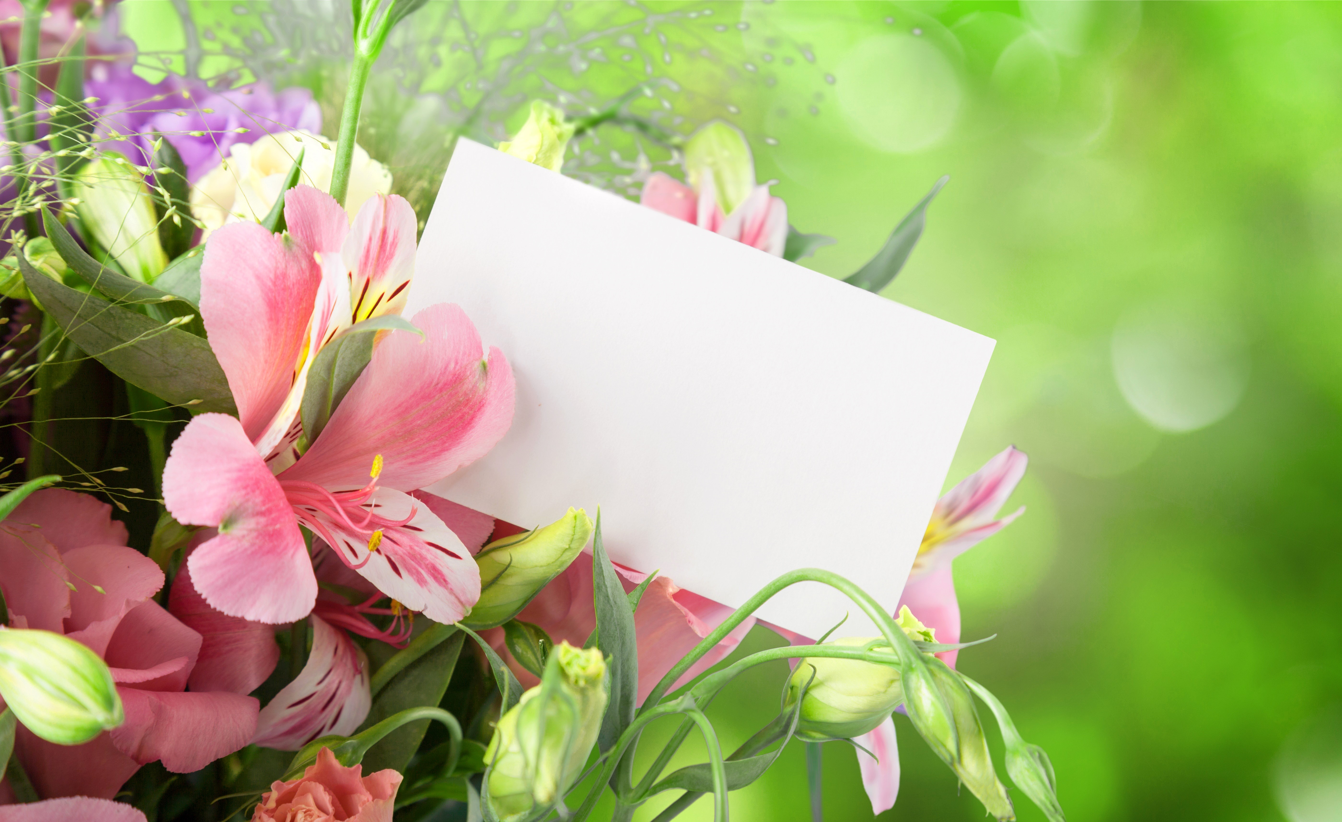 Bouquet of Alstroemeria and Eustoma with a greeting card HD Wallpaper