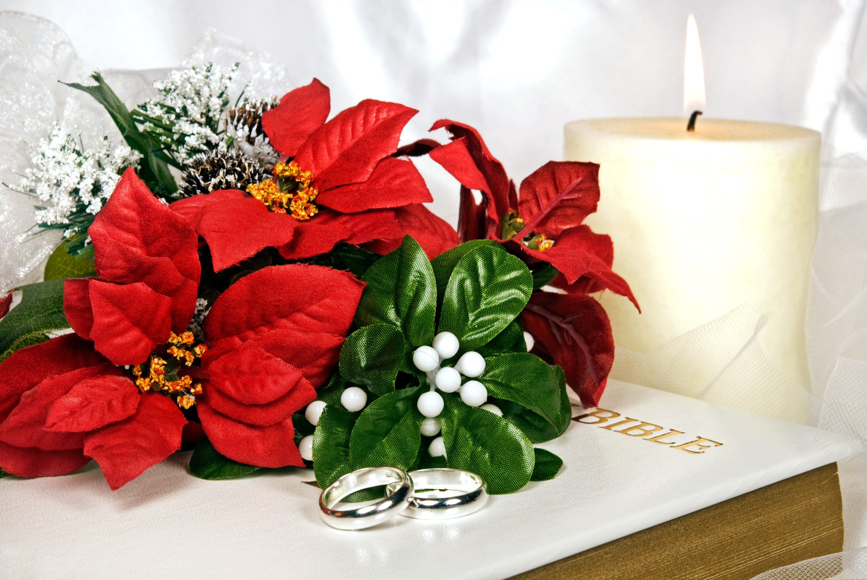 Wedding rings with poinsettias and Bible HD Wallpaper