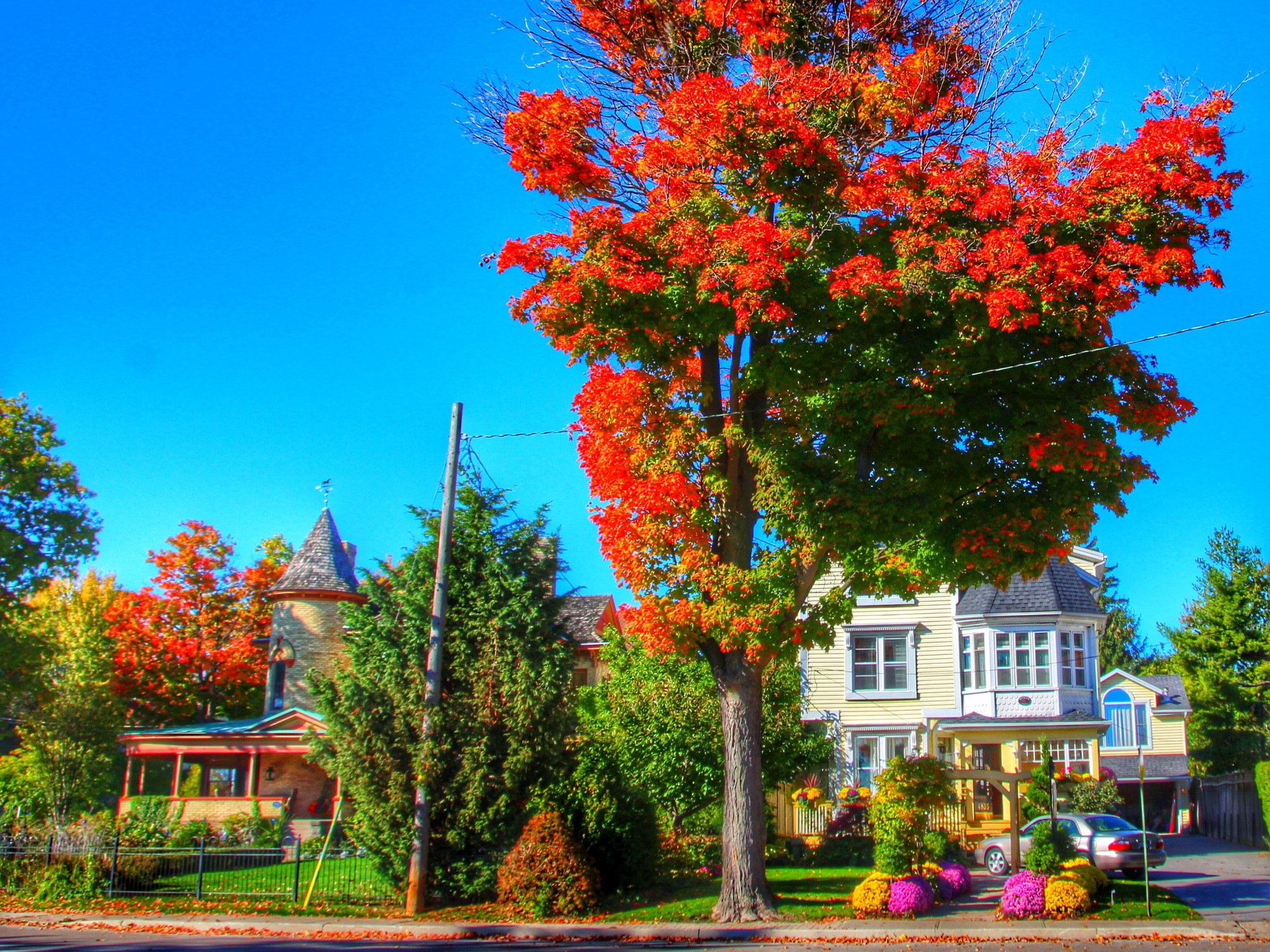 Houses and trees with fall foliage in Niagara Falls, Ontario, Canada HD Wallpaper