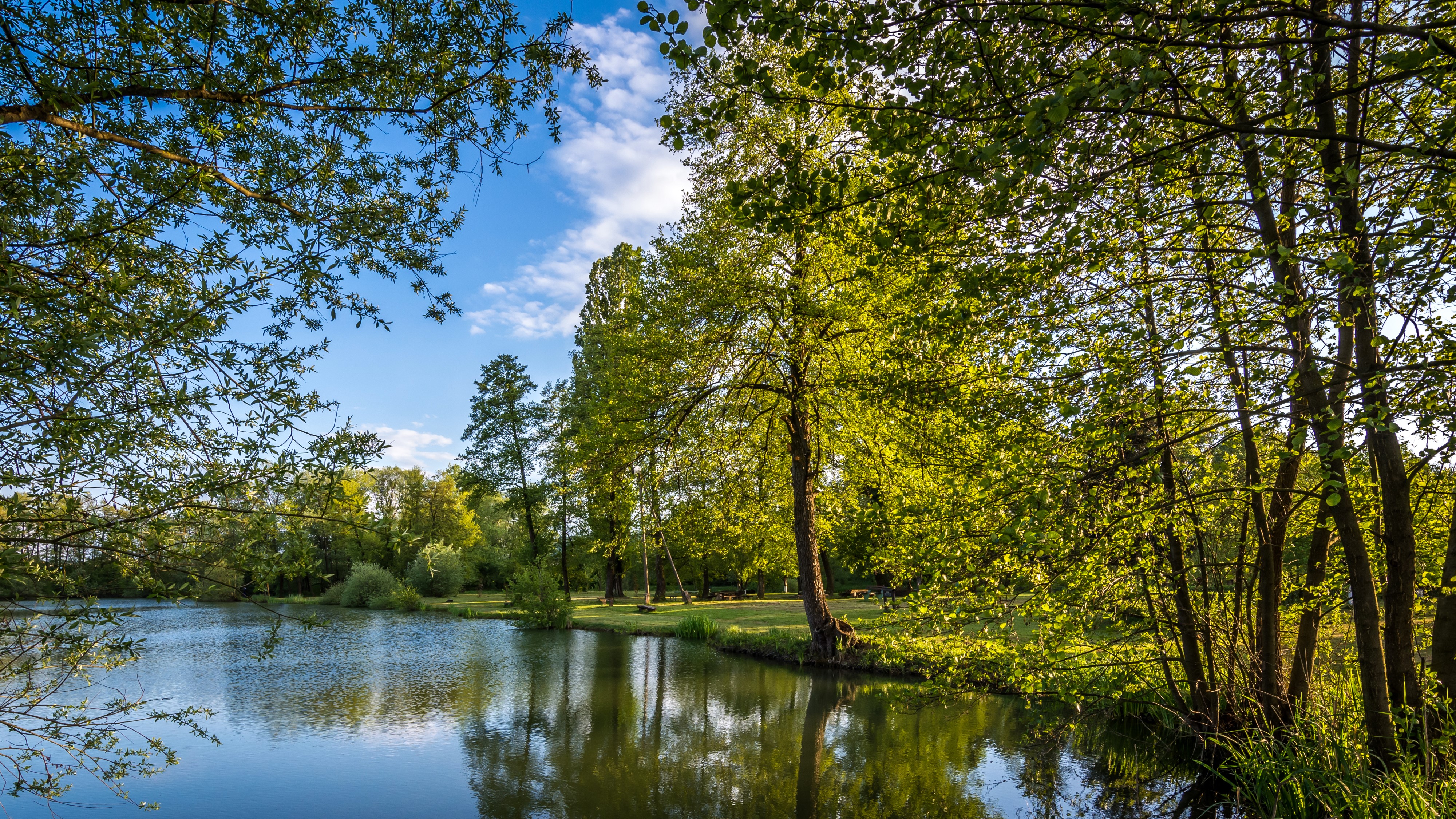 Summer lake with trees and blue sky HD Wallpaper