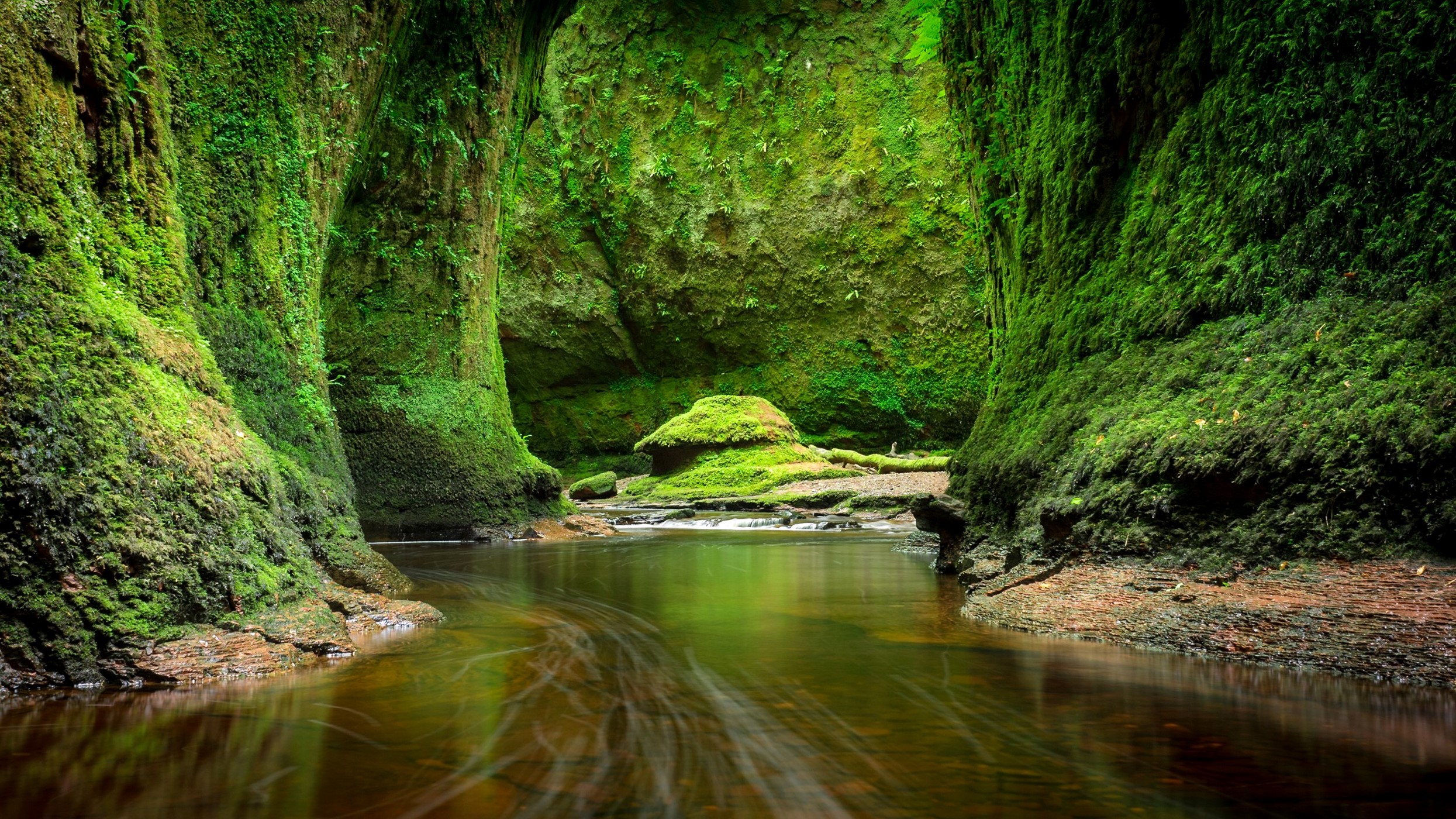 Moss-covered gorge with a river in Scotland HD Wallpaper
