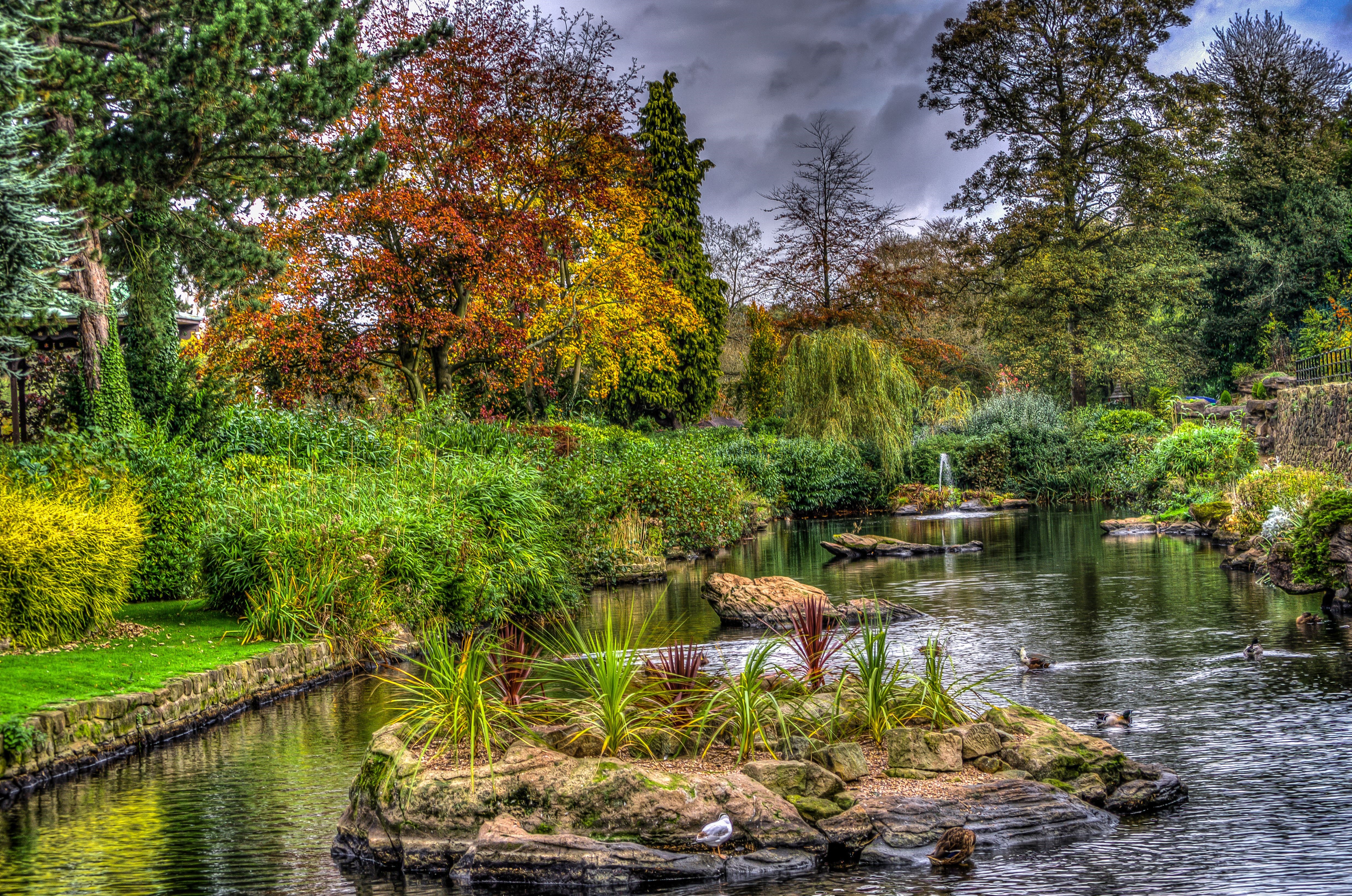 Autumn Garden Pond with Trees and Shrubs HD Wallpaper