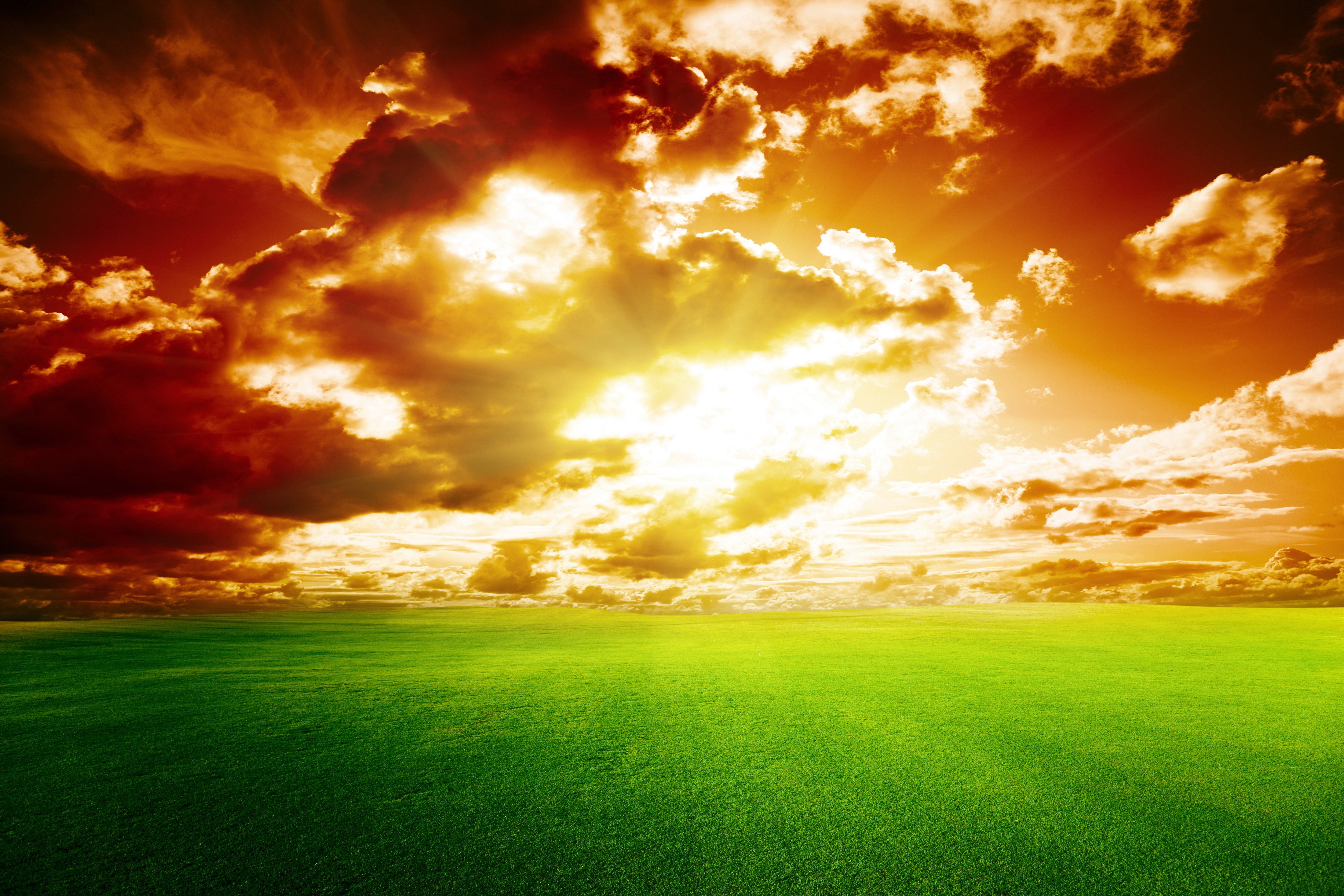 4K Sky Over Green Grass Fields HD Wallpaper