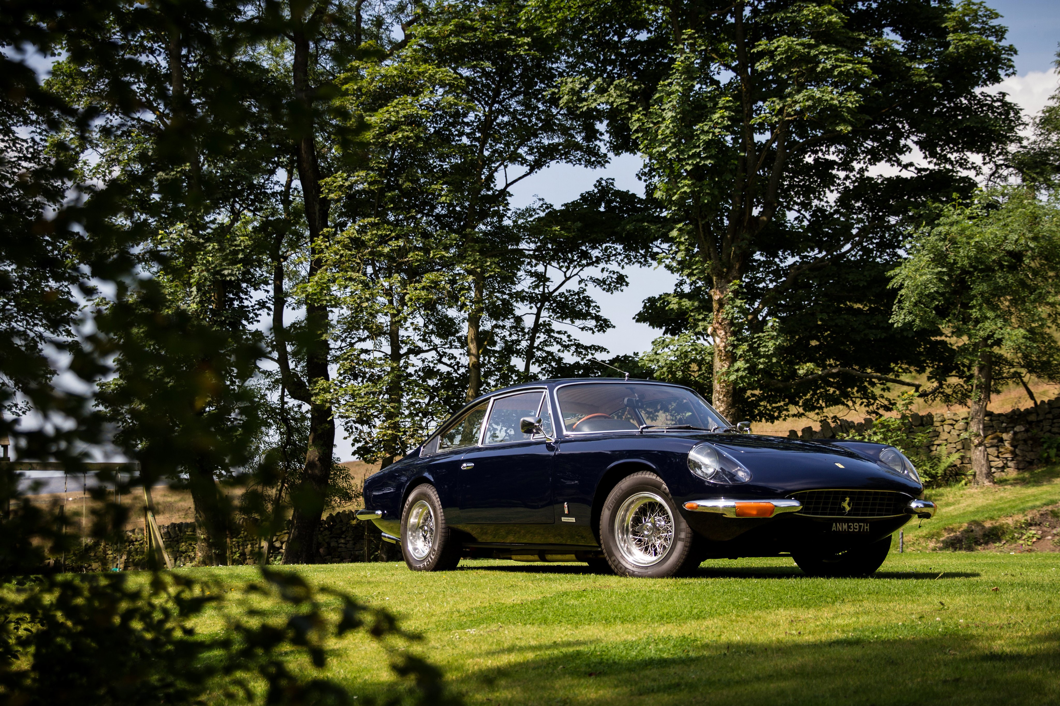 Dark Blue 1967-68 Ferrari 365 GT 2+2 HD Wallpaper