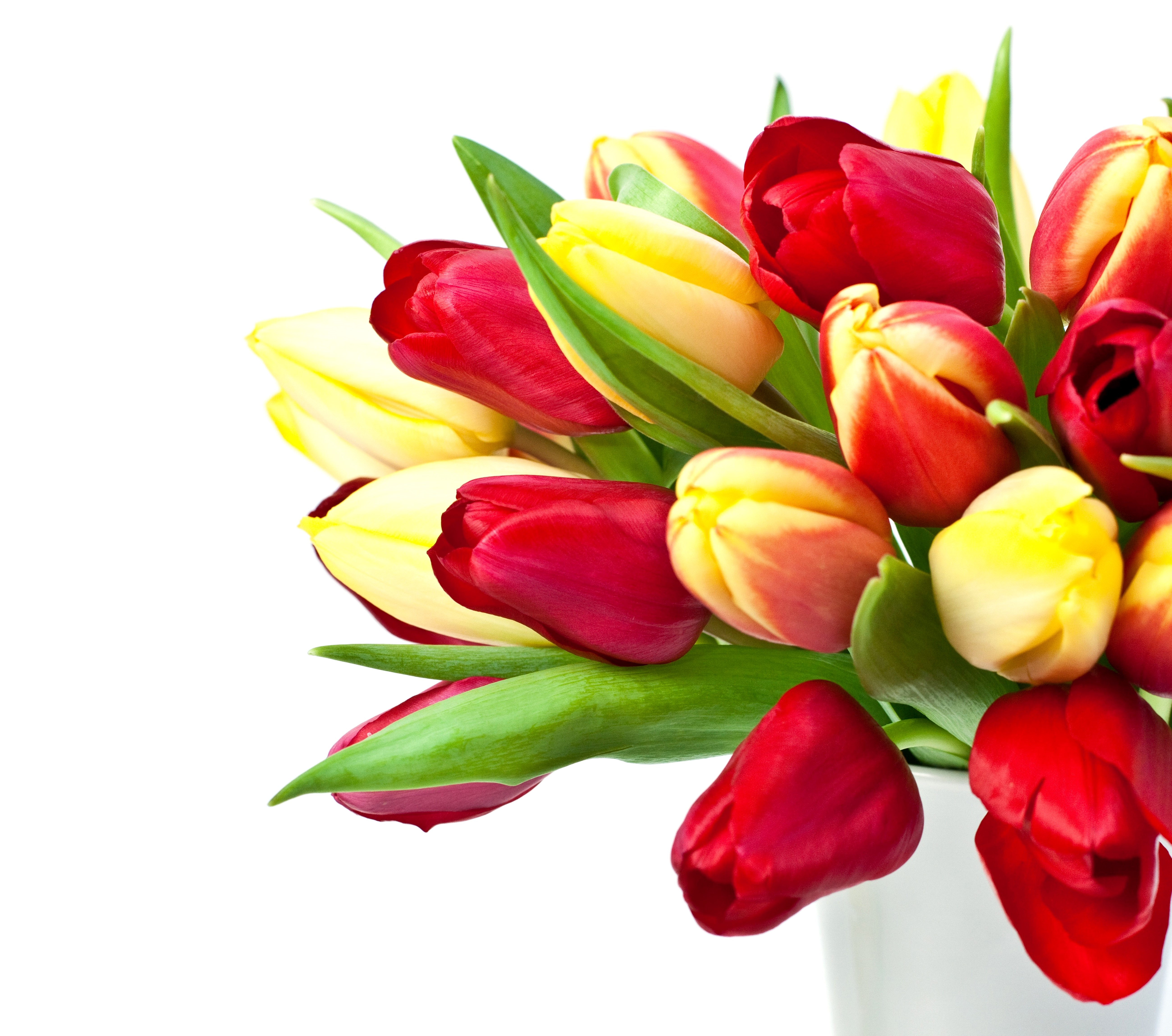 Bouquet of Red and Yellow Tulips HD Wallpaper