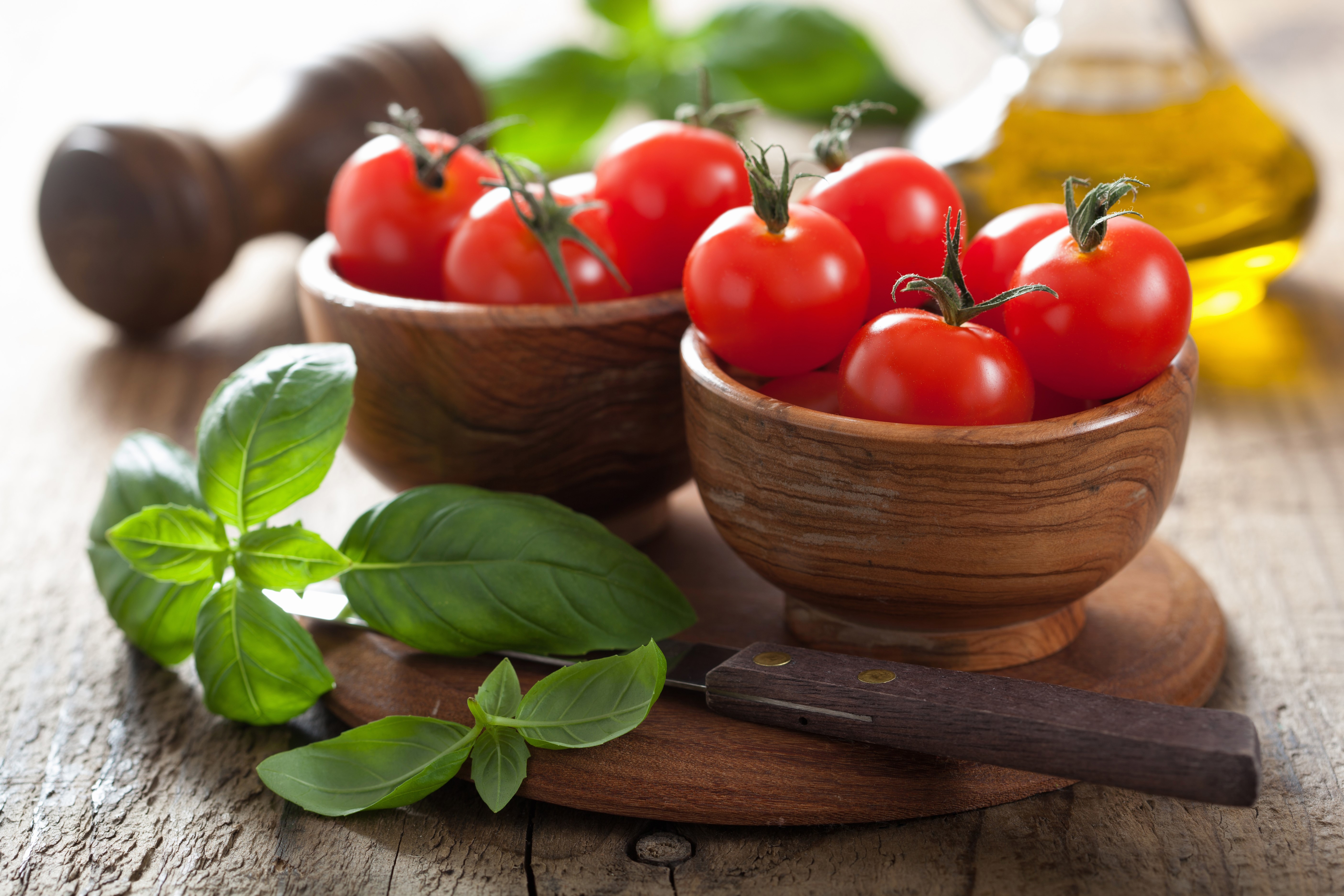 Tomatoes and Basil with Olive Oil HD Wallpaper