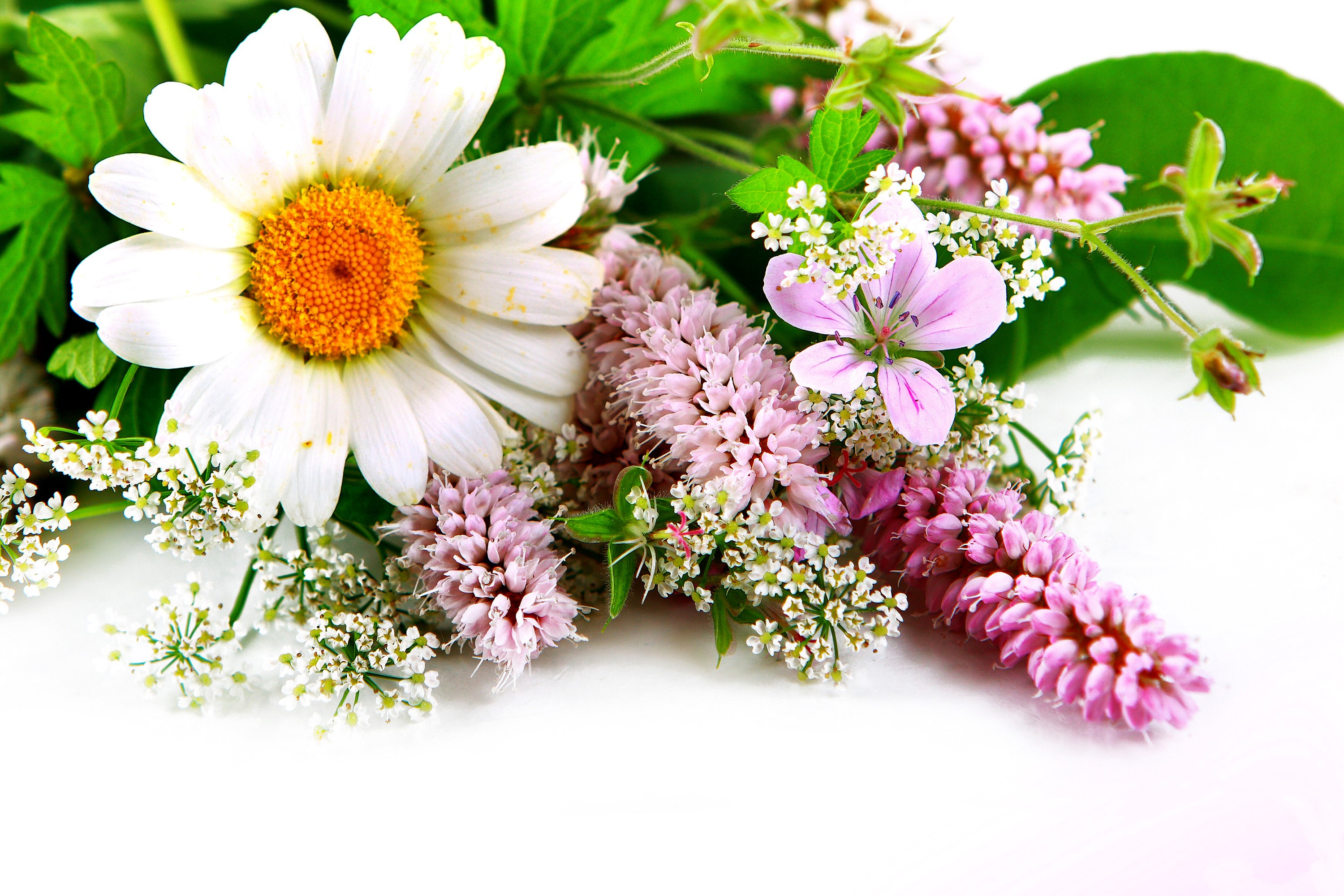 Bouquet of wildflowers with daisy and pink flowers HD Wallpaper