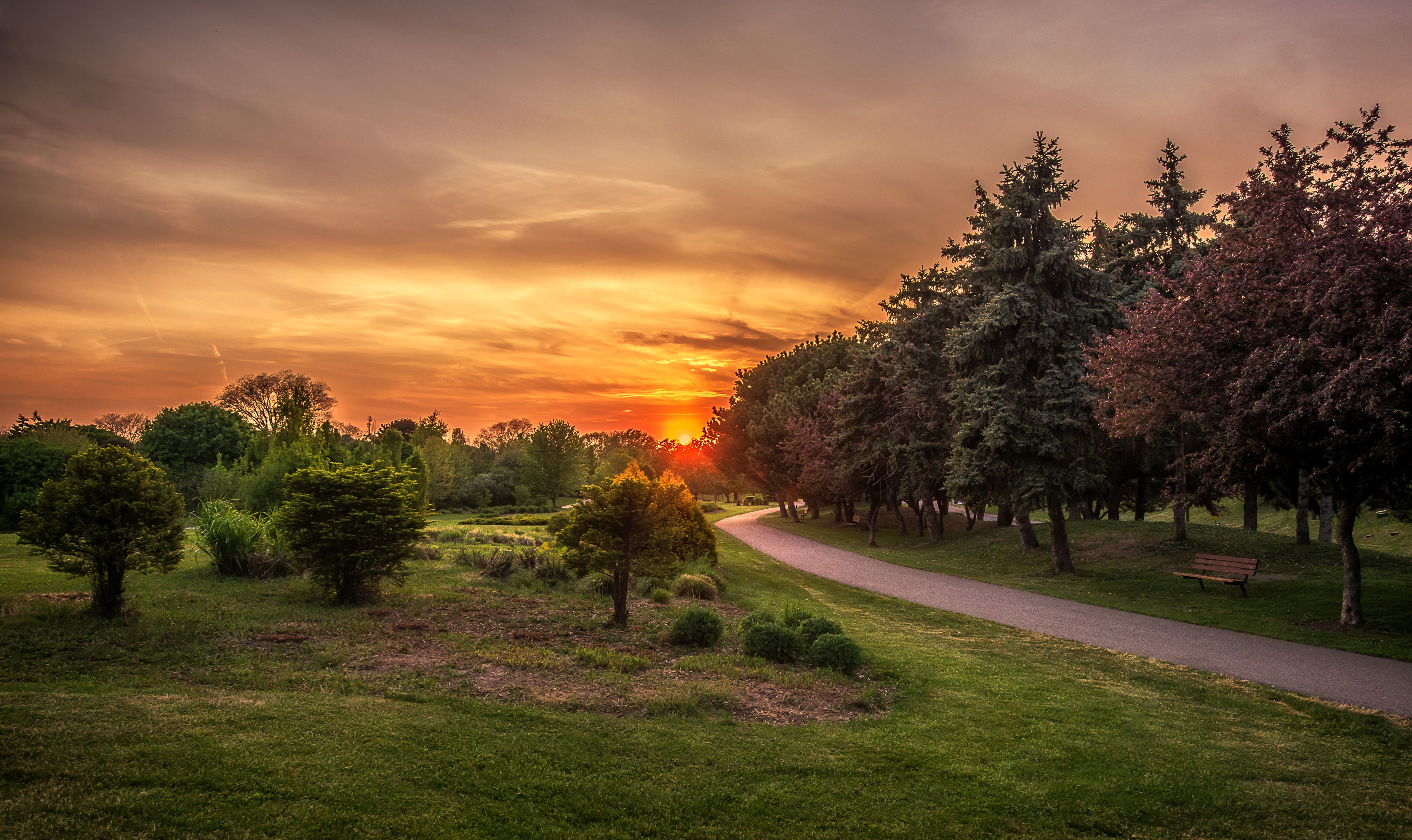 Park path at sunset in St. Catharines, Ontario, Canada HD Wallpaper
