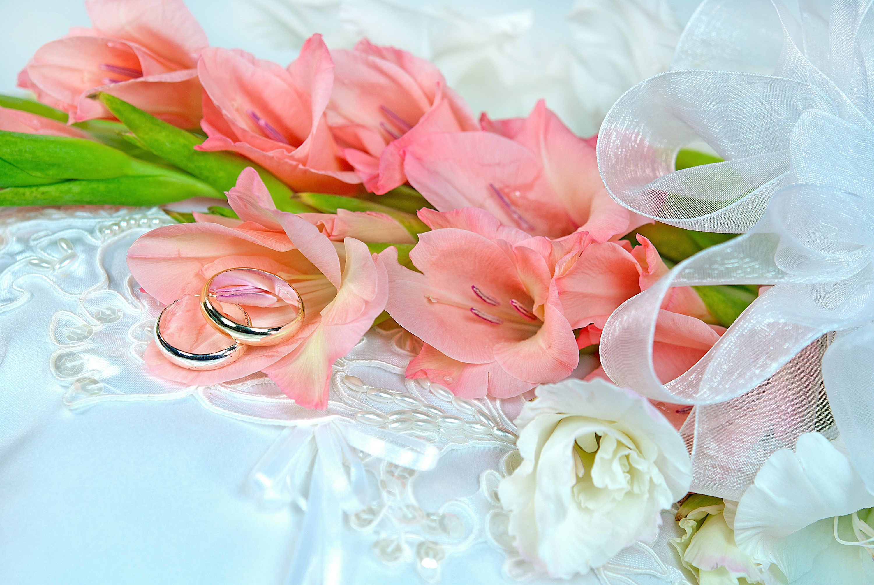 Wedding Rings on Gladiolus Flowers with White Ribbon HD Wallpaper
