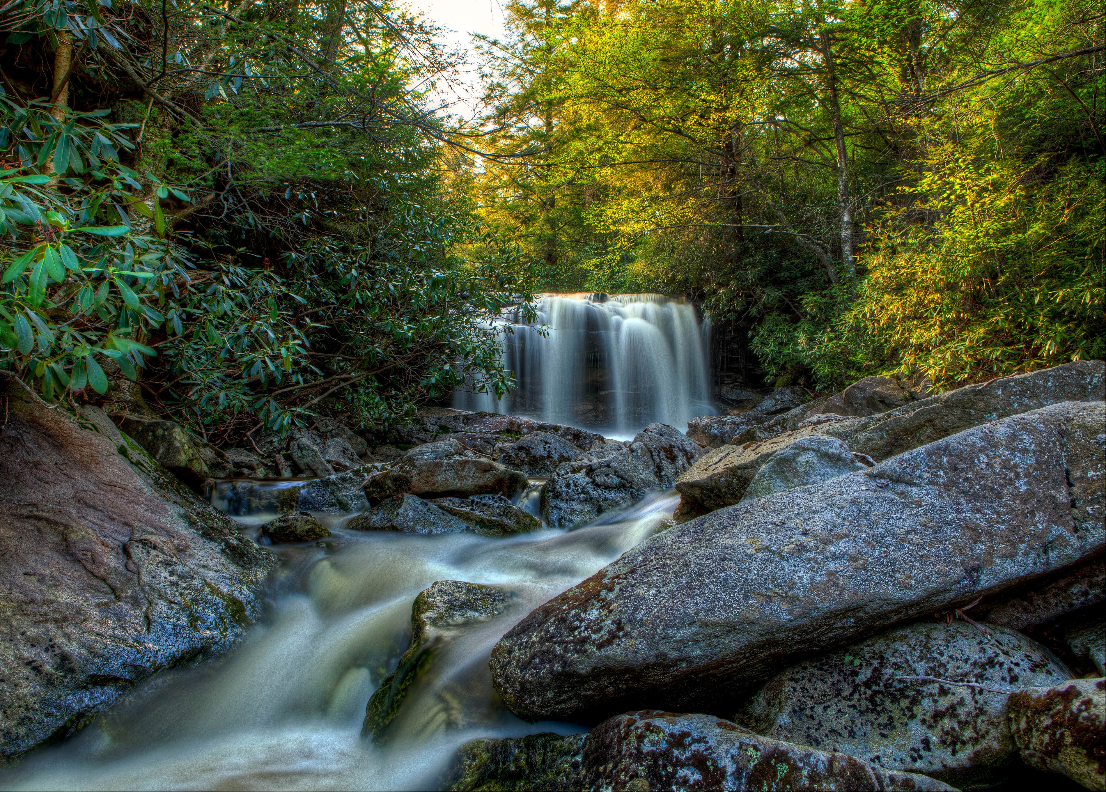 Elakala Falls, Blackwater Falls State Park, USA HD Wallpaper