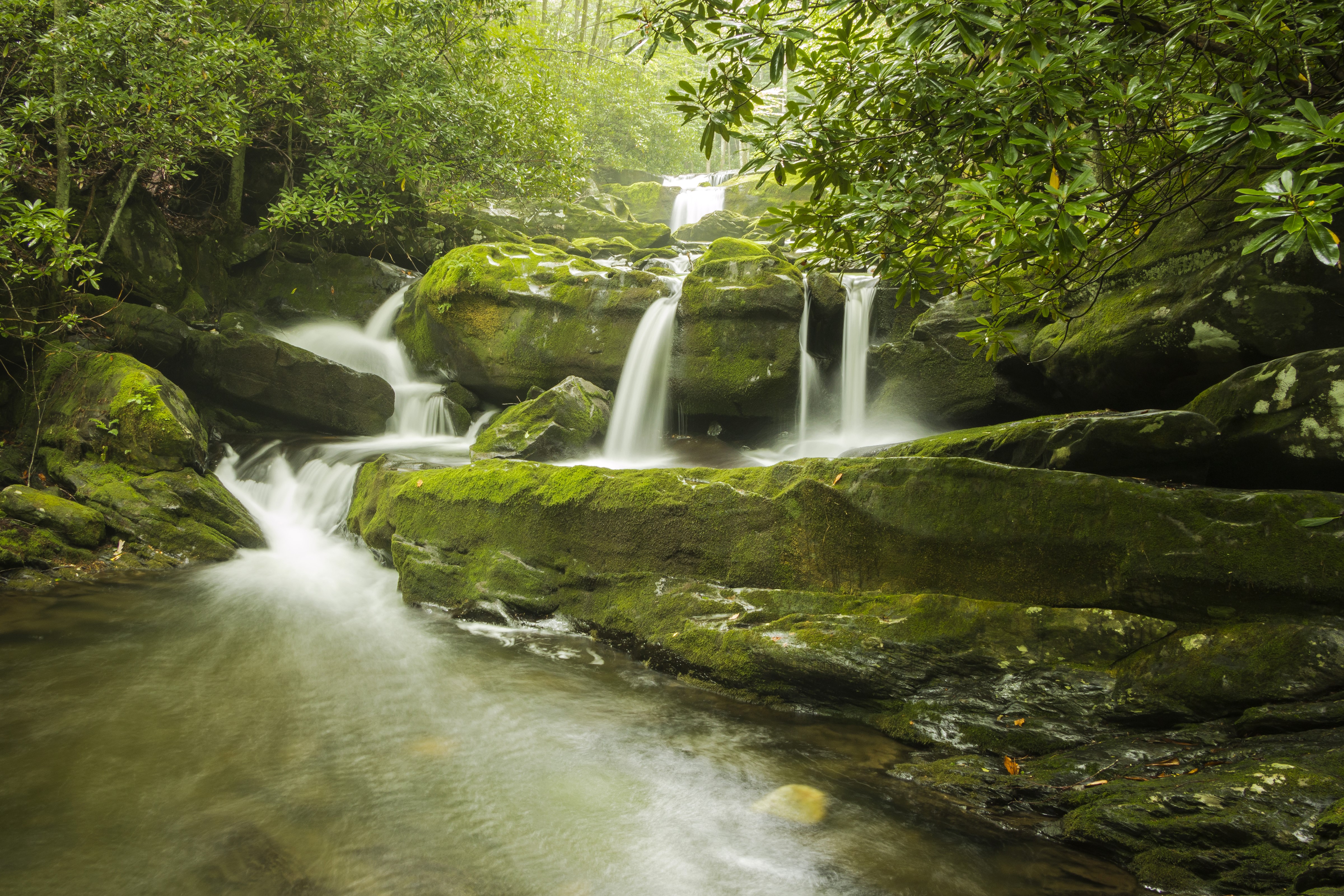 Waterfalls over moss-covered rocks in Great Smoky Mountains National Park HD Wallpaper