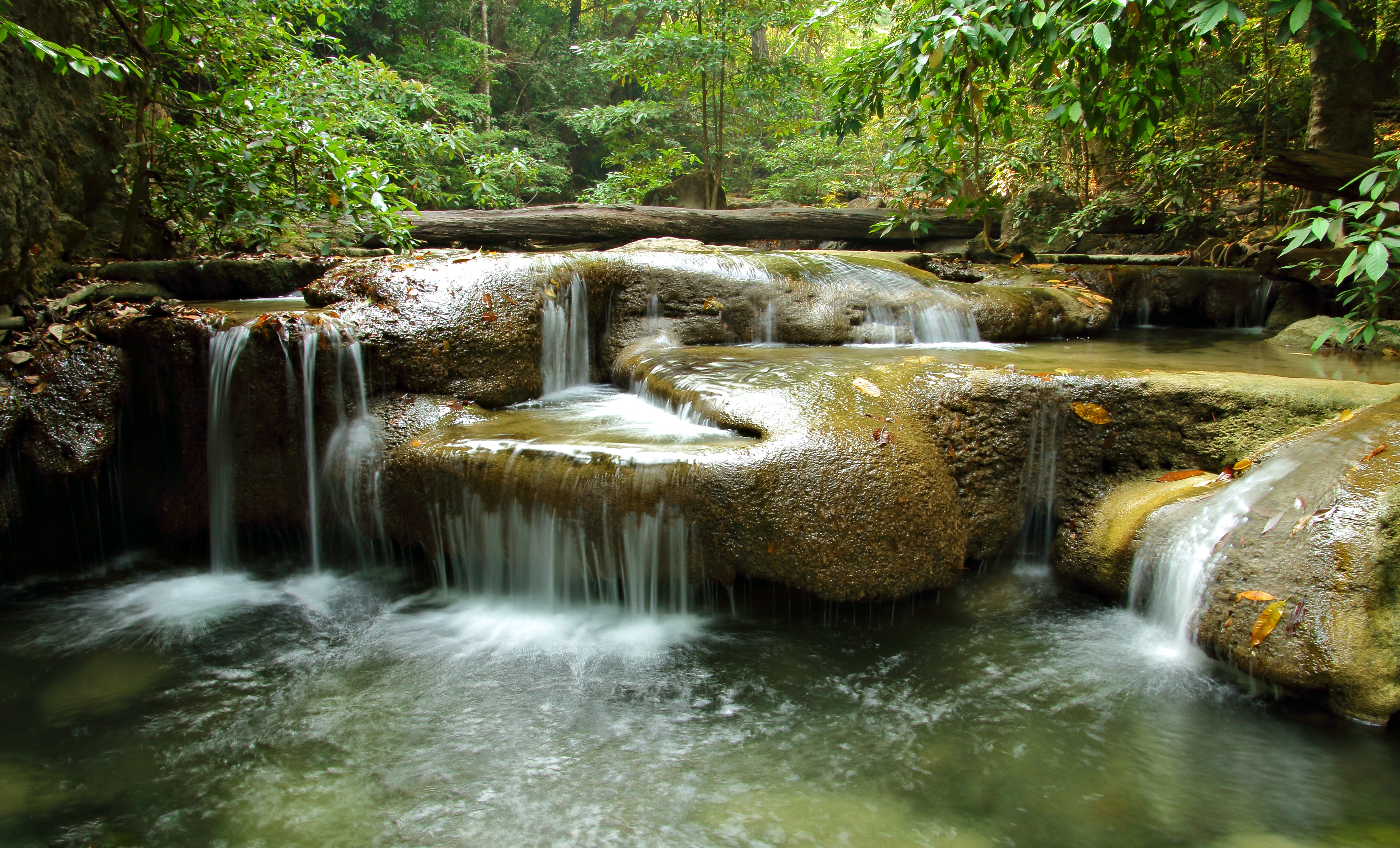 Waterfalls in a Lush Forest HD Wallpaper