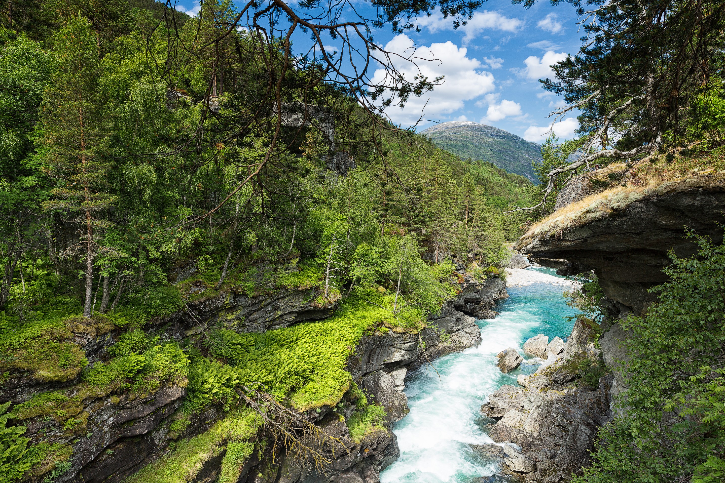 River Carving a Canyon in Norway HD Wallpaper