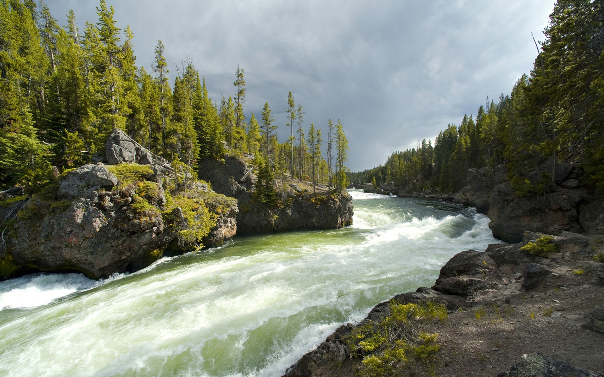 River flowing through a forest with rocky banks HD Wallpaper